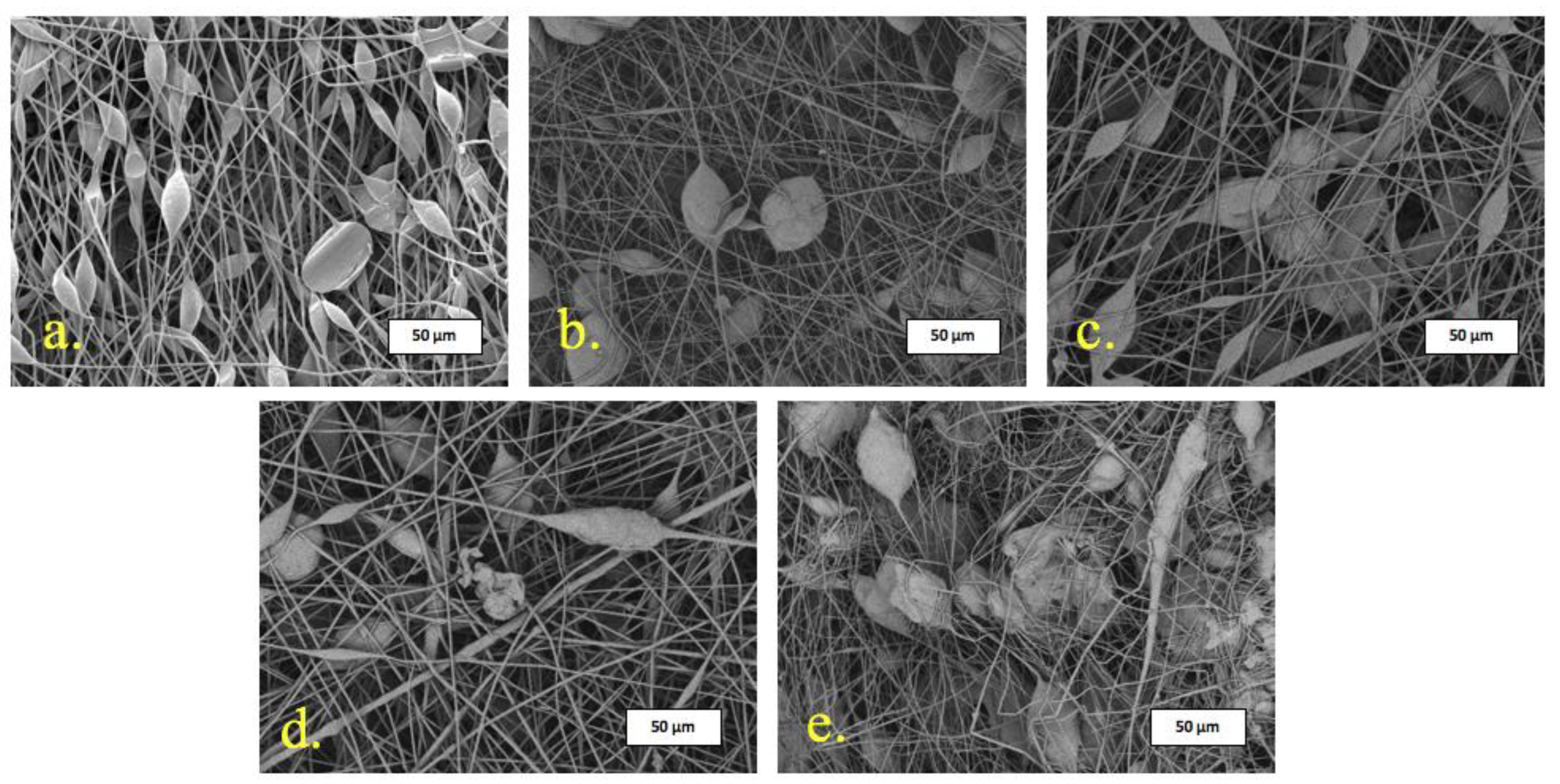 Polymers 15 03167 g003