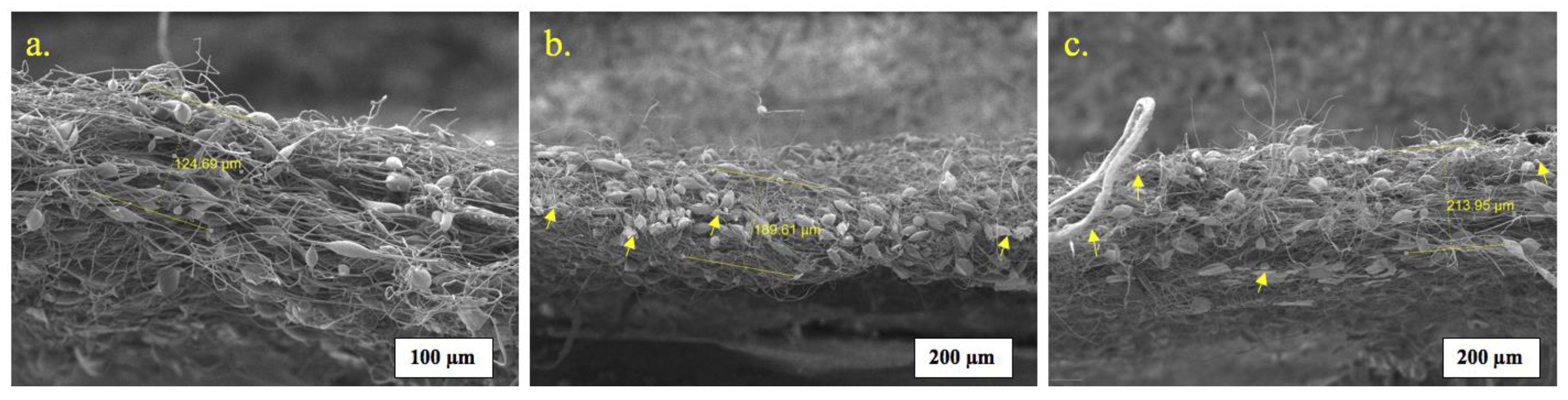 Polymers 15 03167 g011