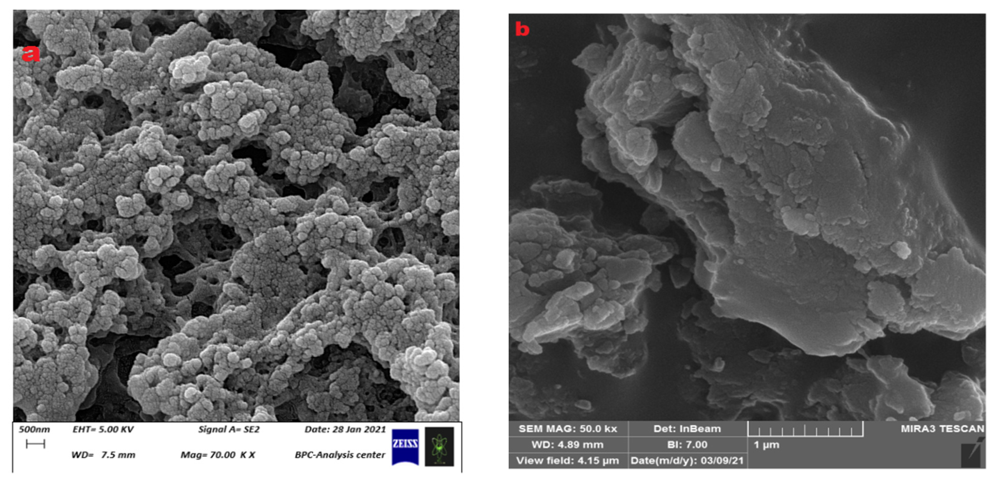 Polymers 15 03173 g007 Polymers 15 03173 g007