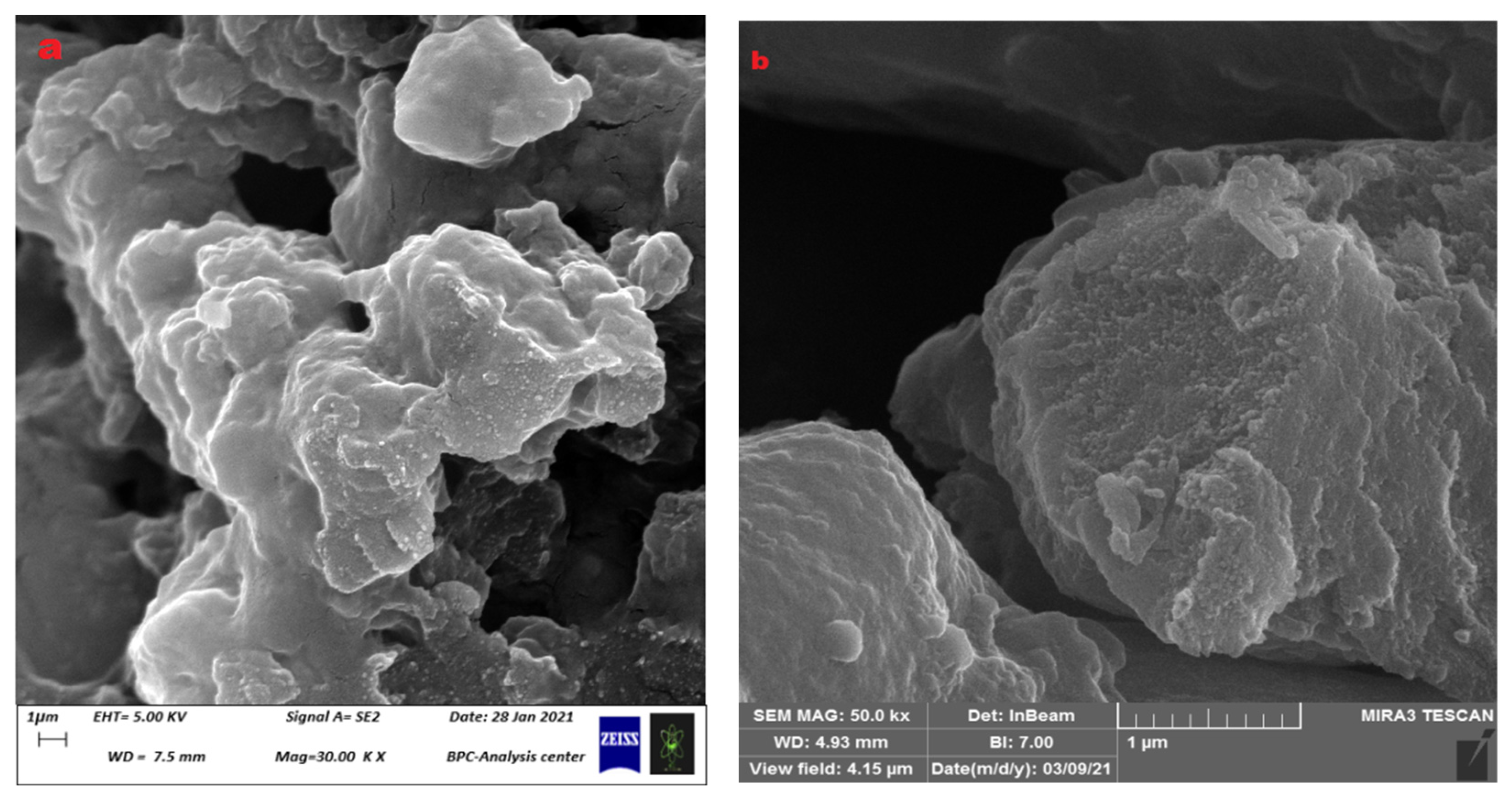 Polymers 15 03173 g008 Polymers 15 03173 g008