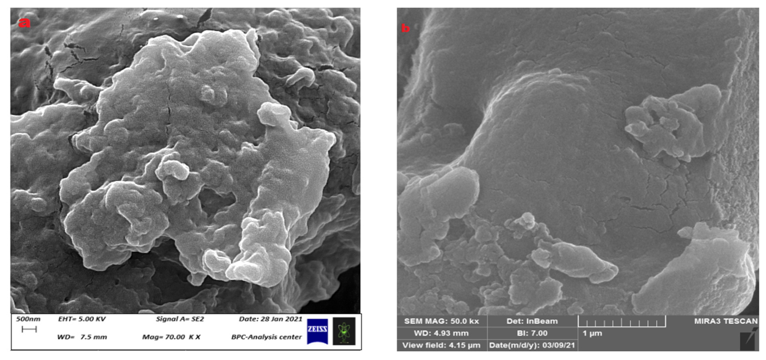 Polymers 15 03173 g012 Polymers 15 03173 g012