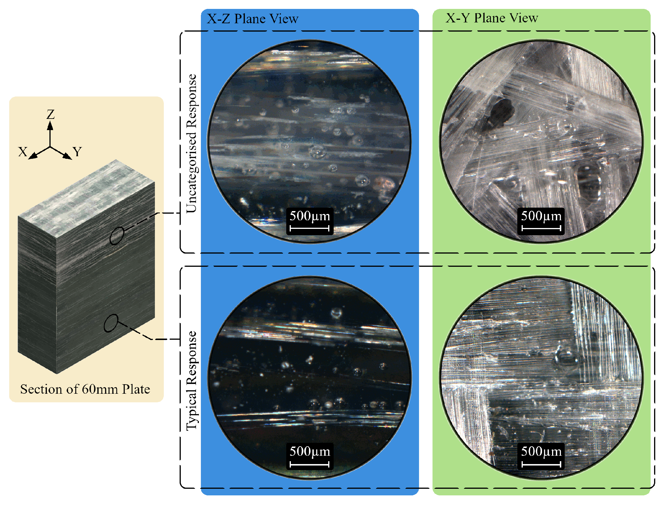 Polymers 15 03175 g006