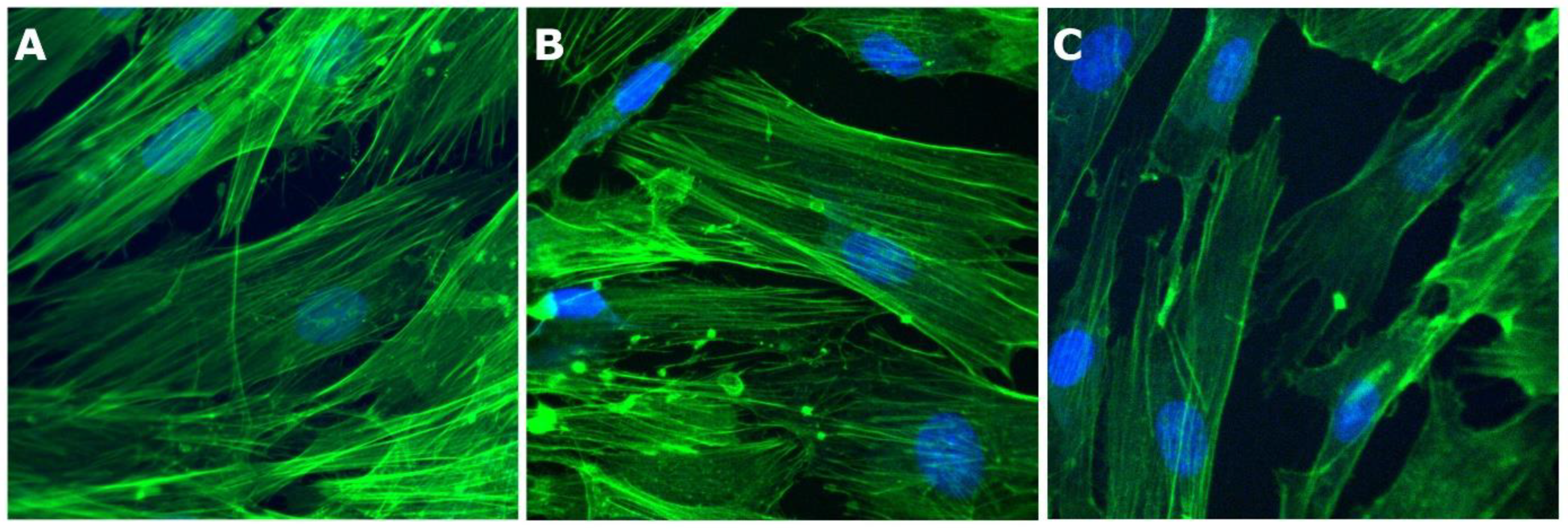 Polymers 15 03176 g011 Polymers 15 03176 g011