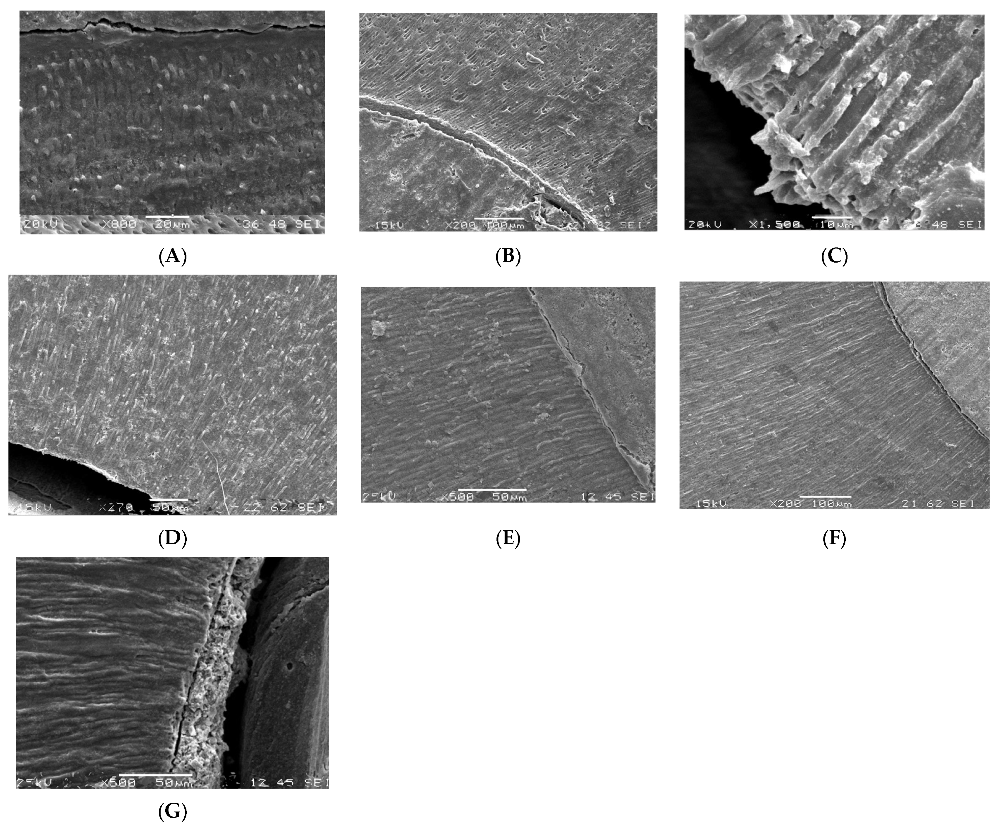 Polymers 15 03180 g003