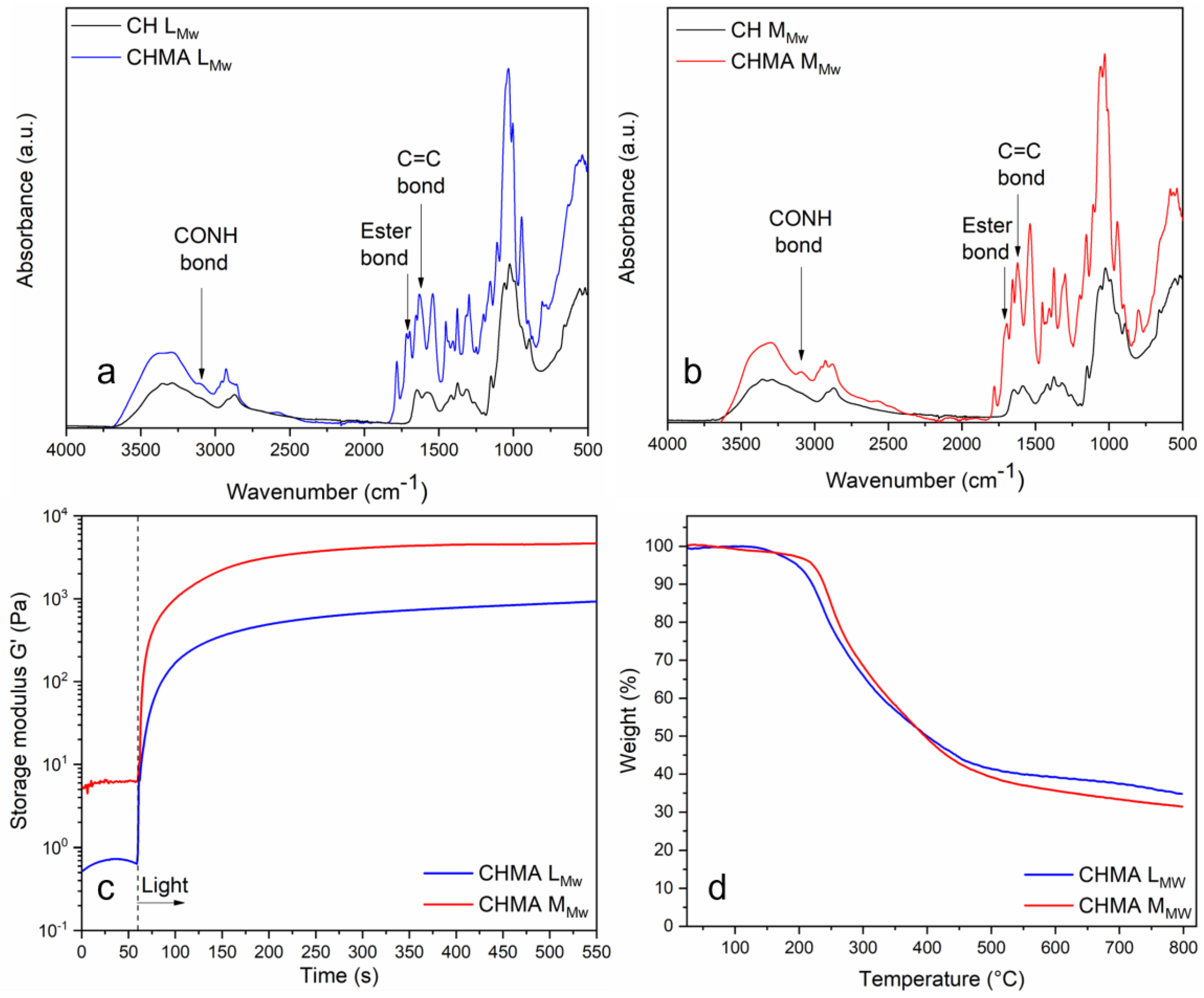 Polymers 15 03182 g001