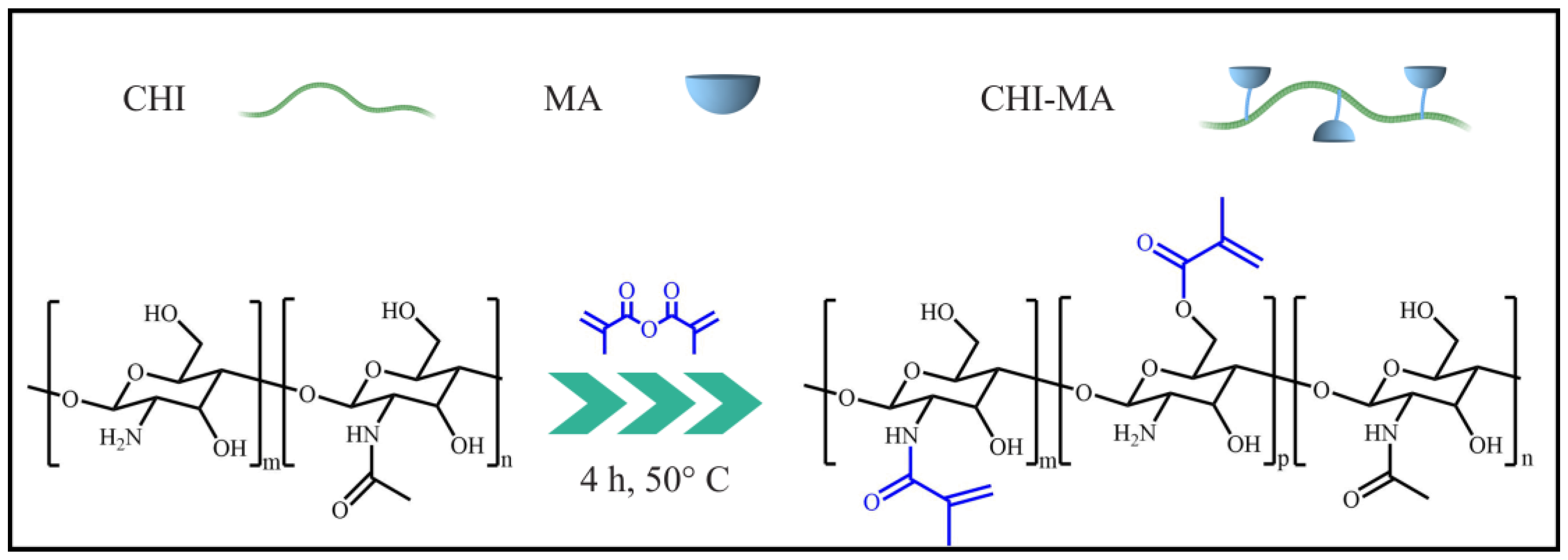 Polymers 15 03182 sch001