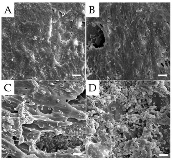 Polymers Free FullText Mechanical and Biological Characterization