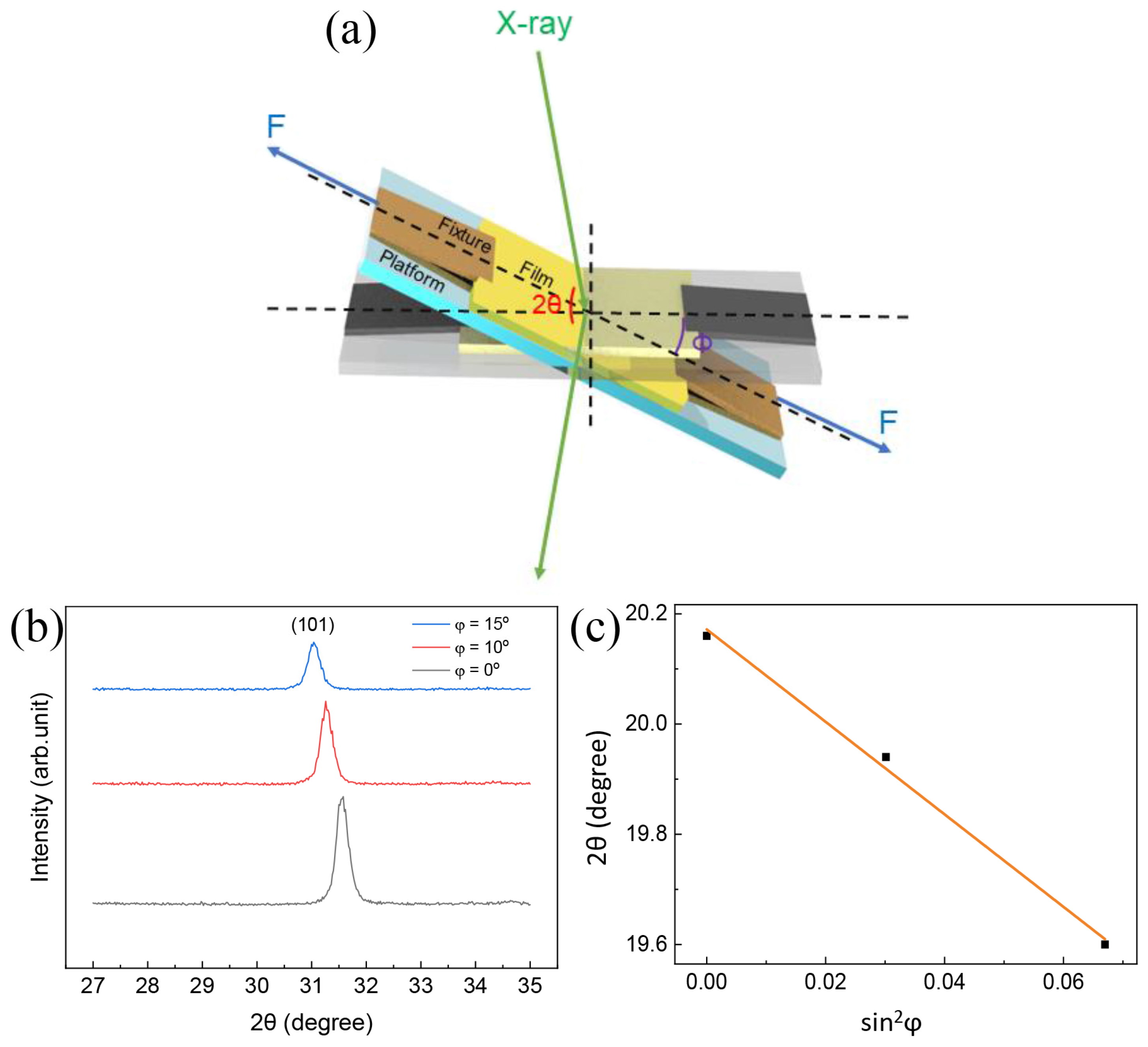 Polymers 15 03191 g007