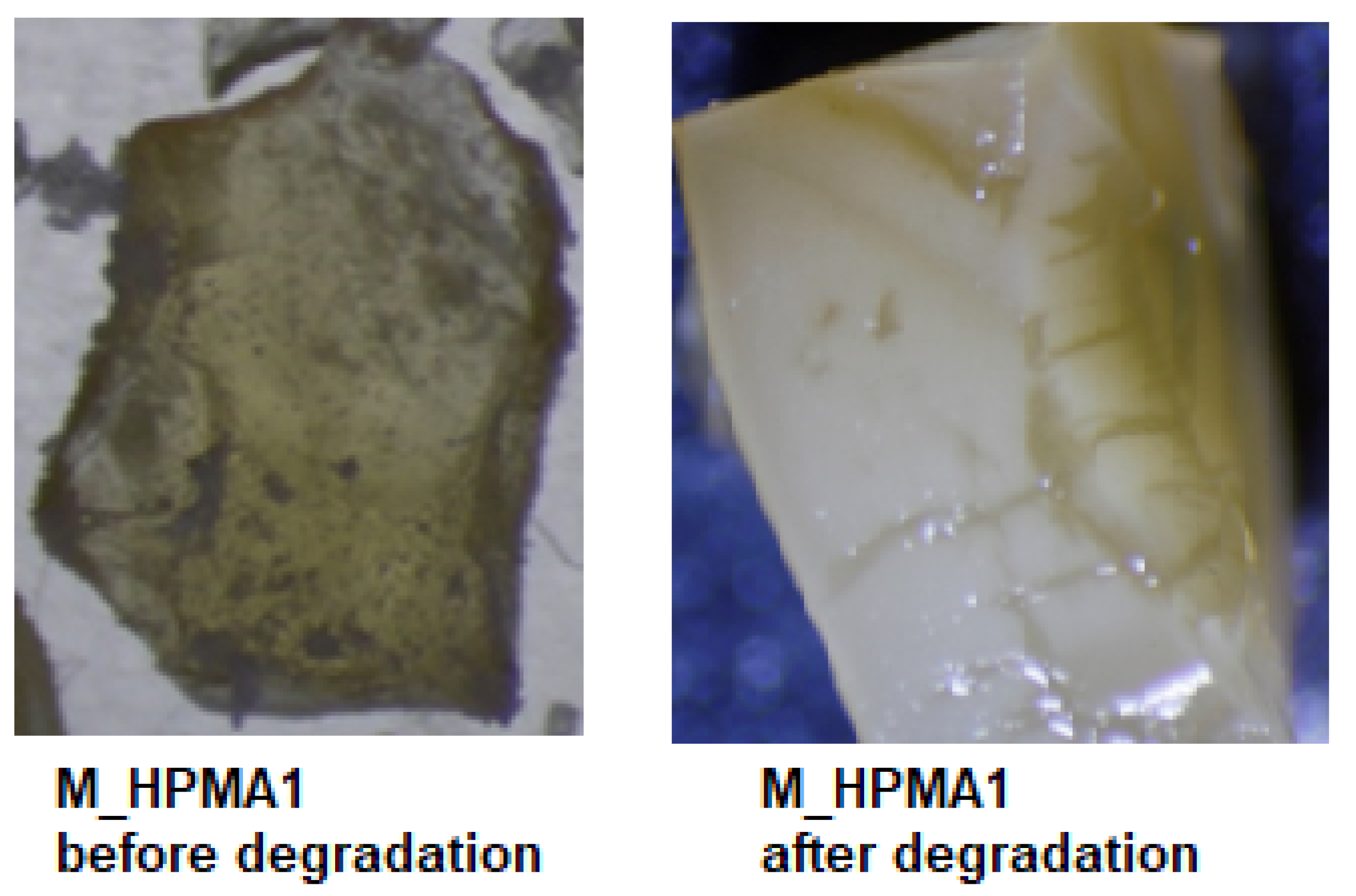 Polymers 15 03194 g003 Polymers 15 03194 g003