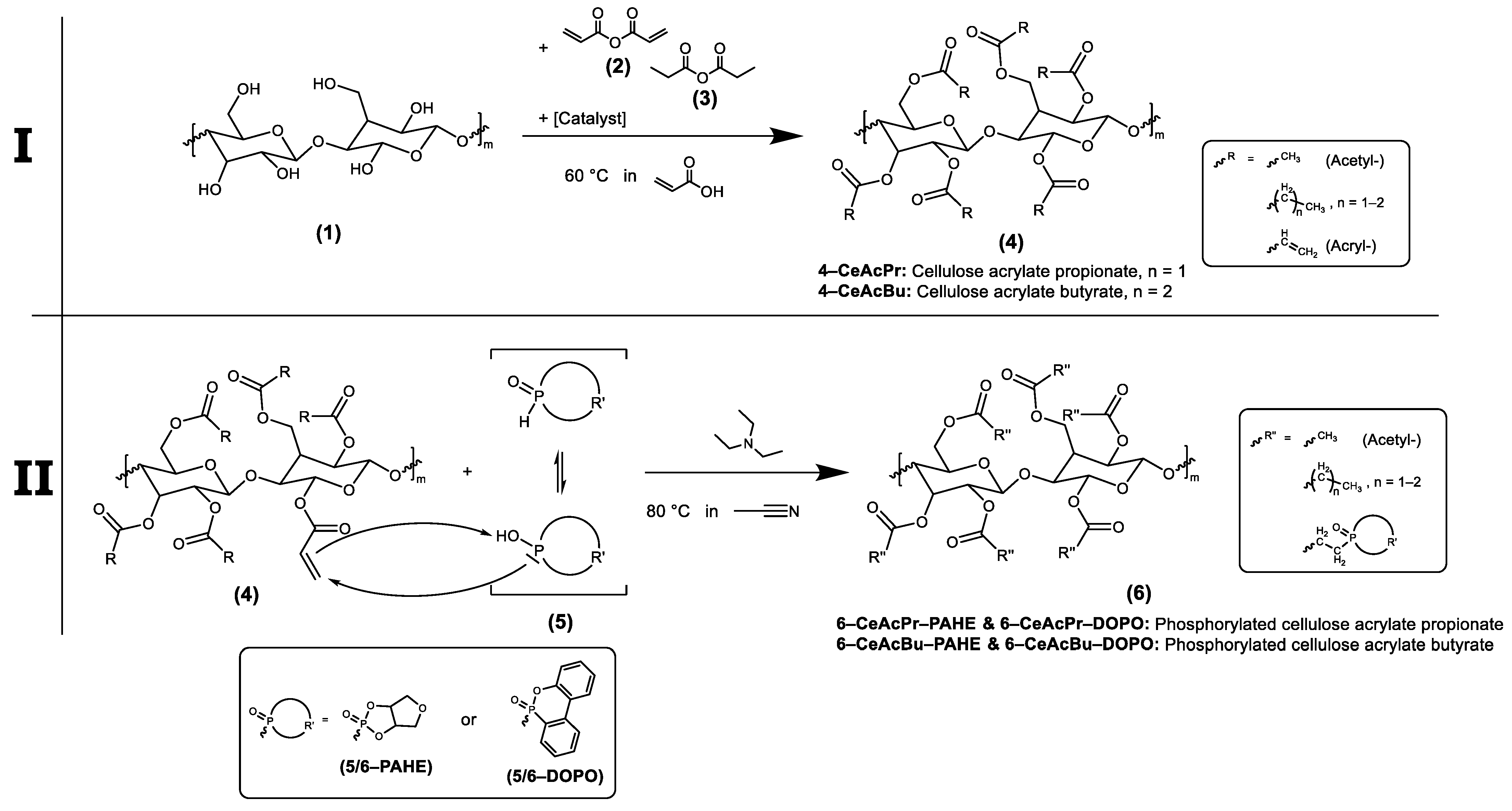 Polymers 15 03195 g001