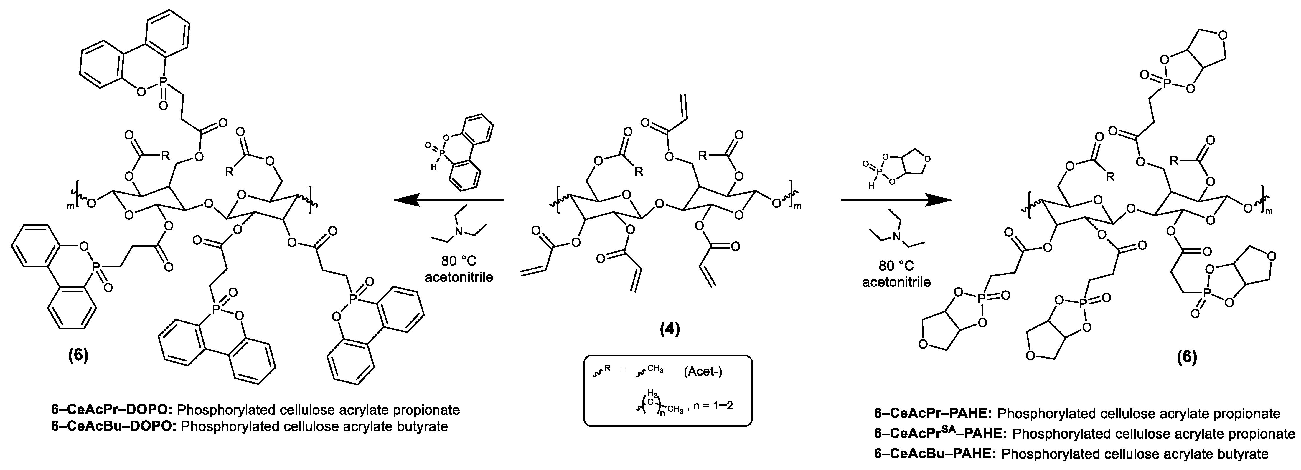 Polymers 15 03195 g003