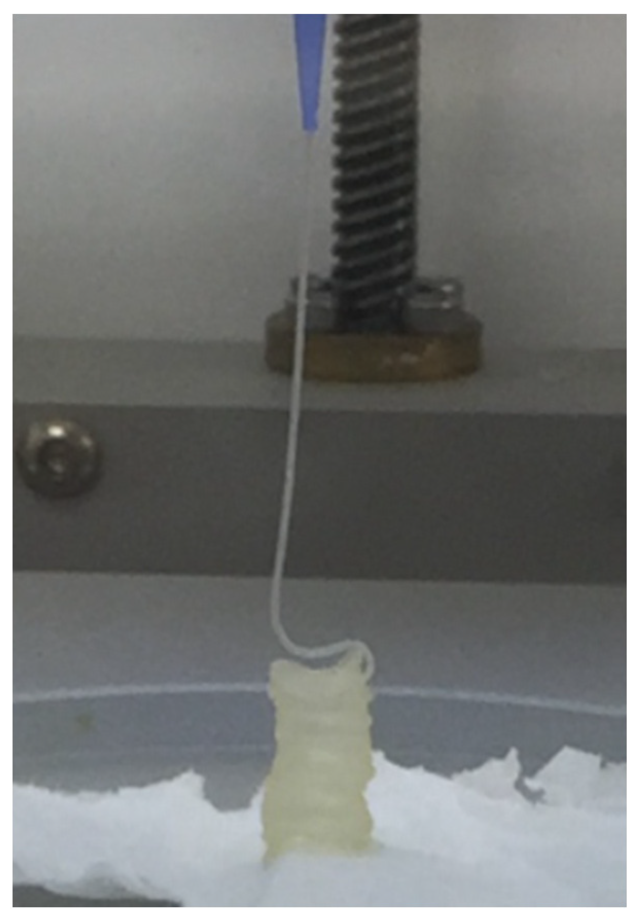 Polymers 15 03196 g001