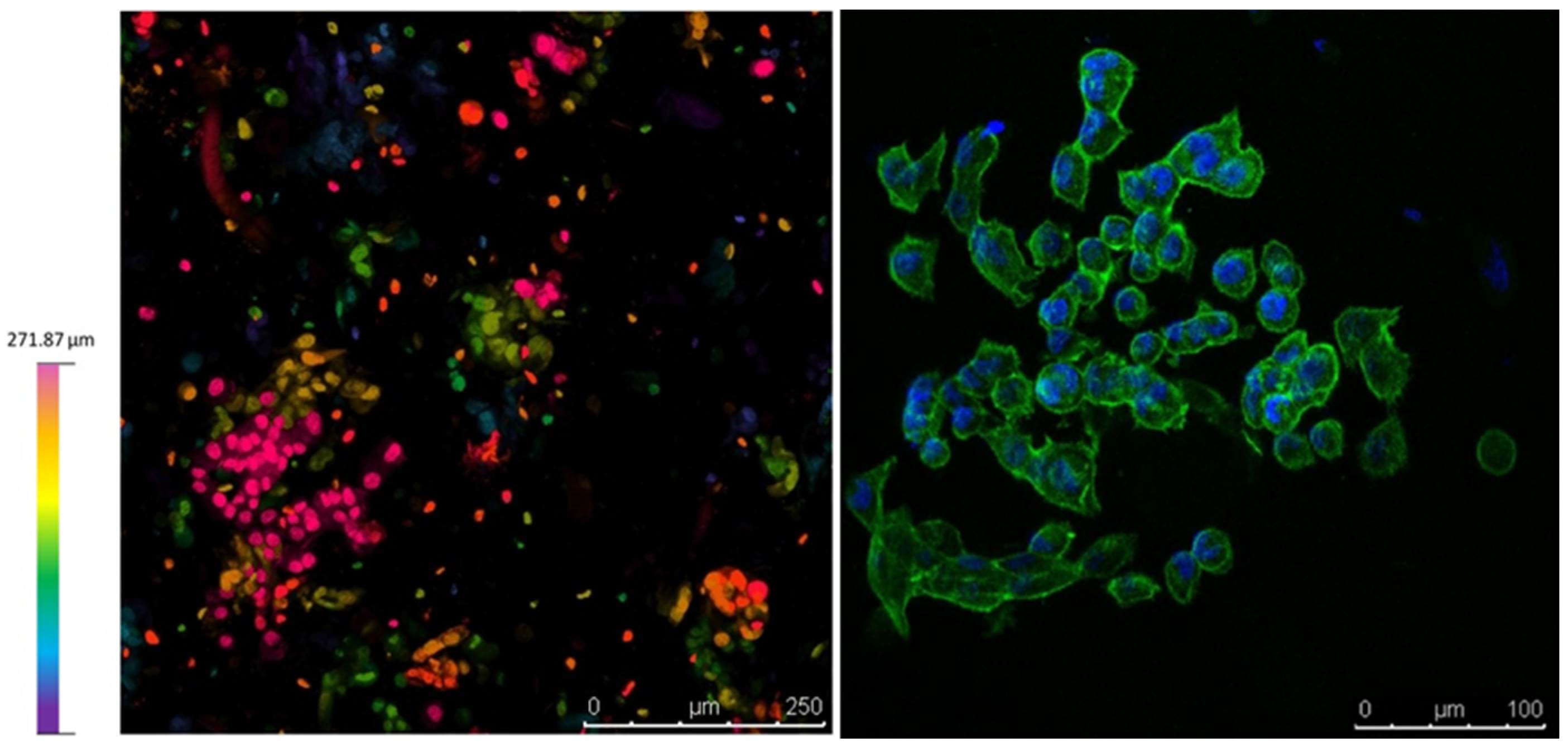 Polymers 15 03196 g009