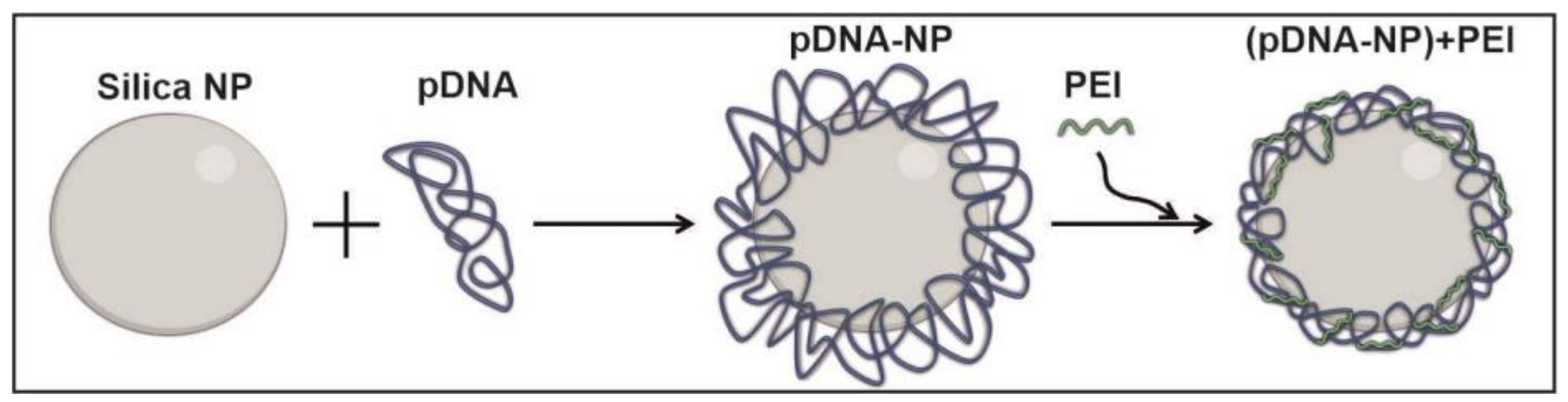 Polymers 15 03202 g001
