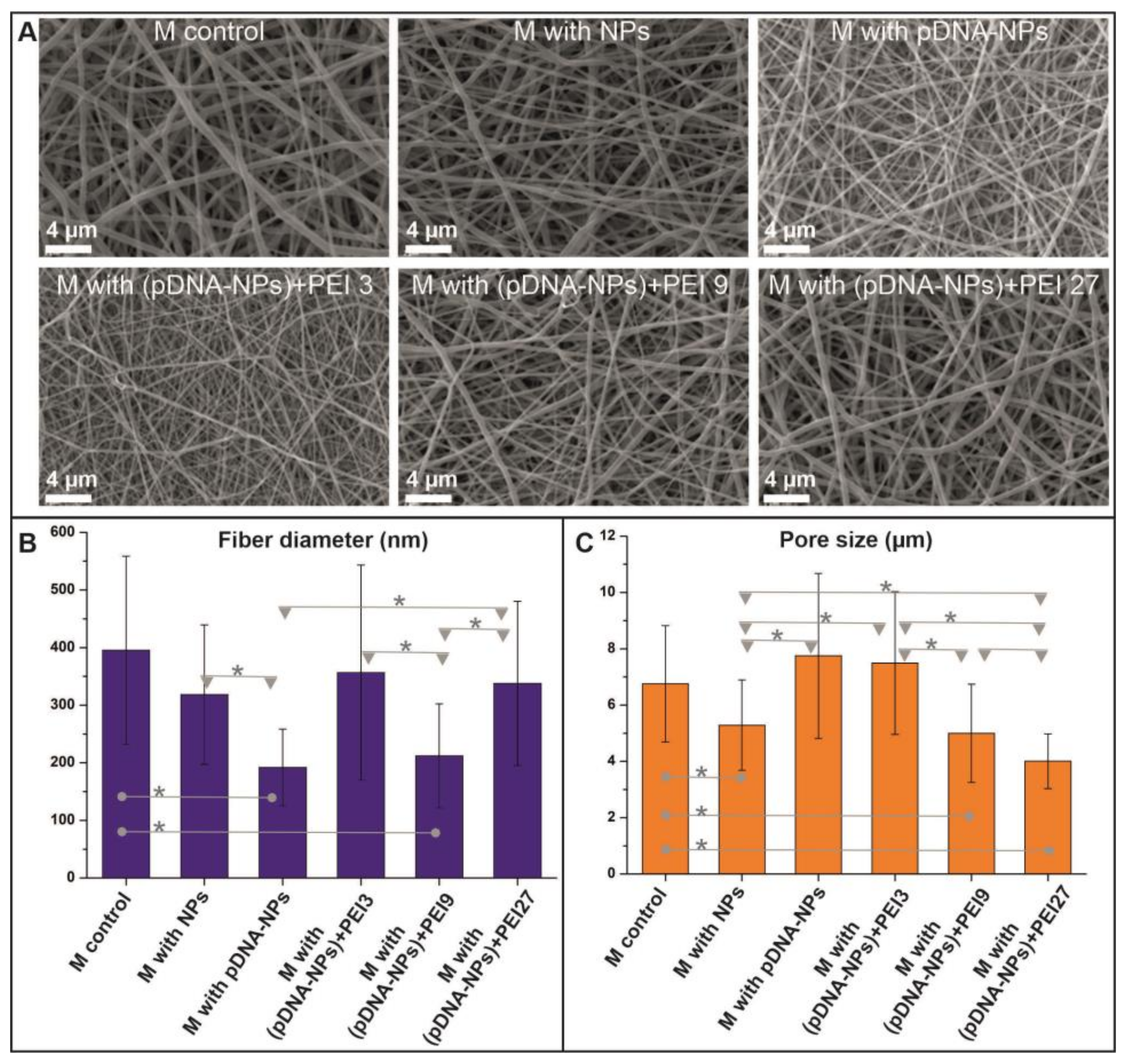 Polymers 15 03202 g002