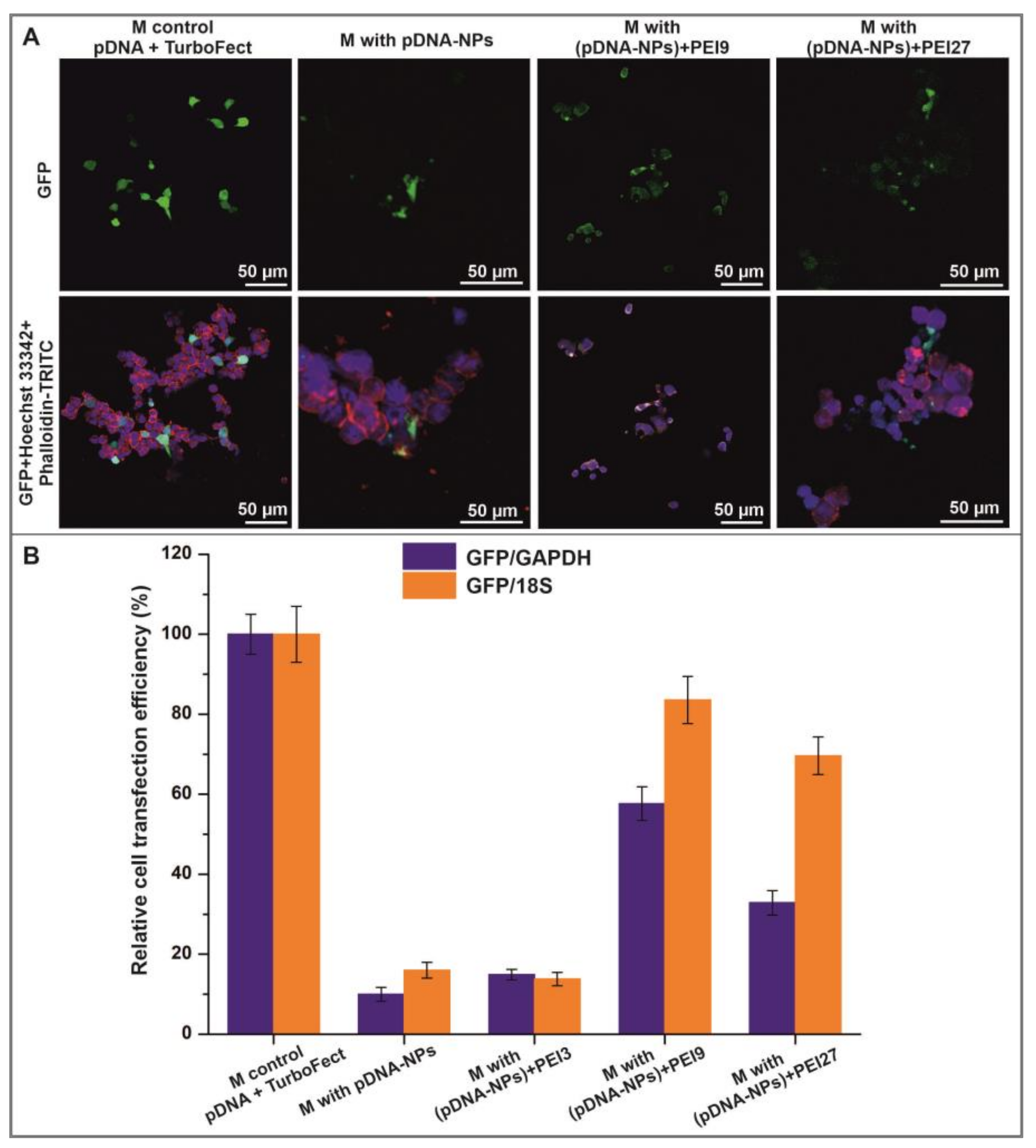 Polymers 15 03202 g006