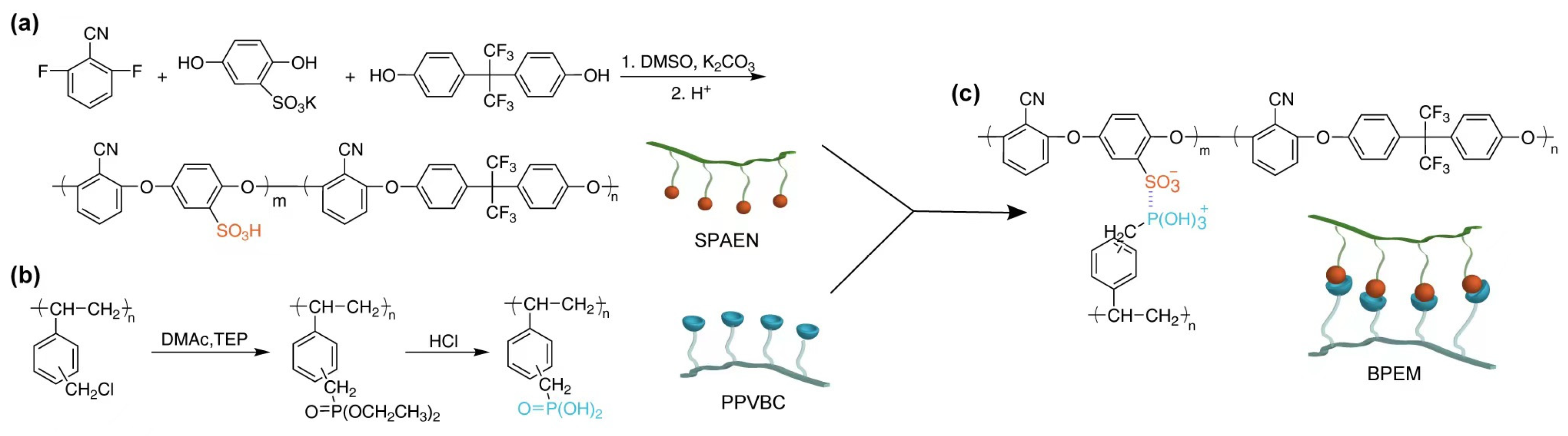 Polymers 15 03203 sch001 Polymers 15 03203 sch001