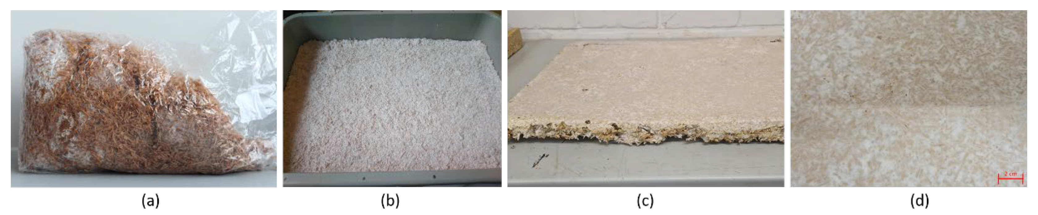 Polymers 15 03205 g001