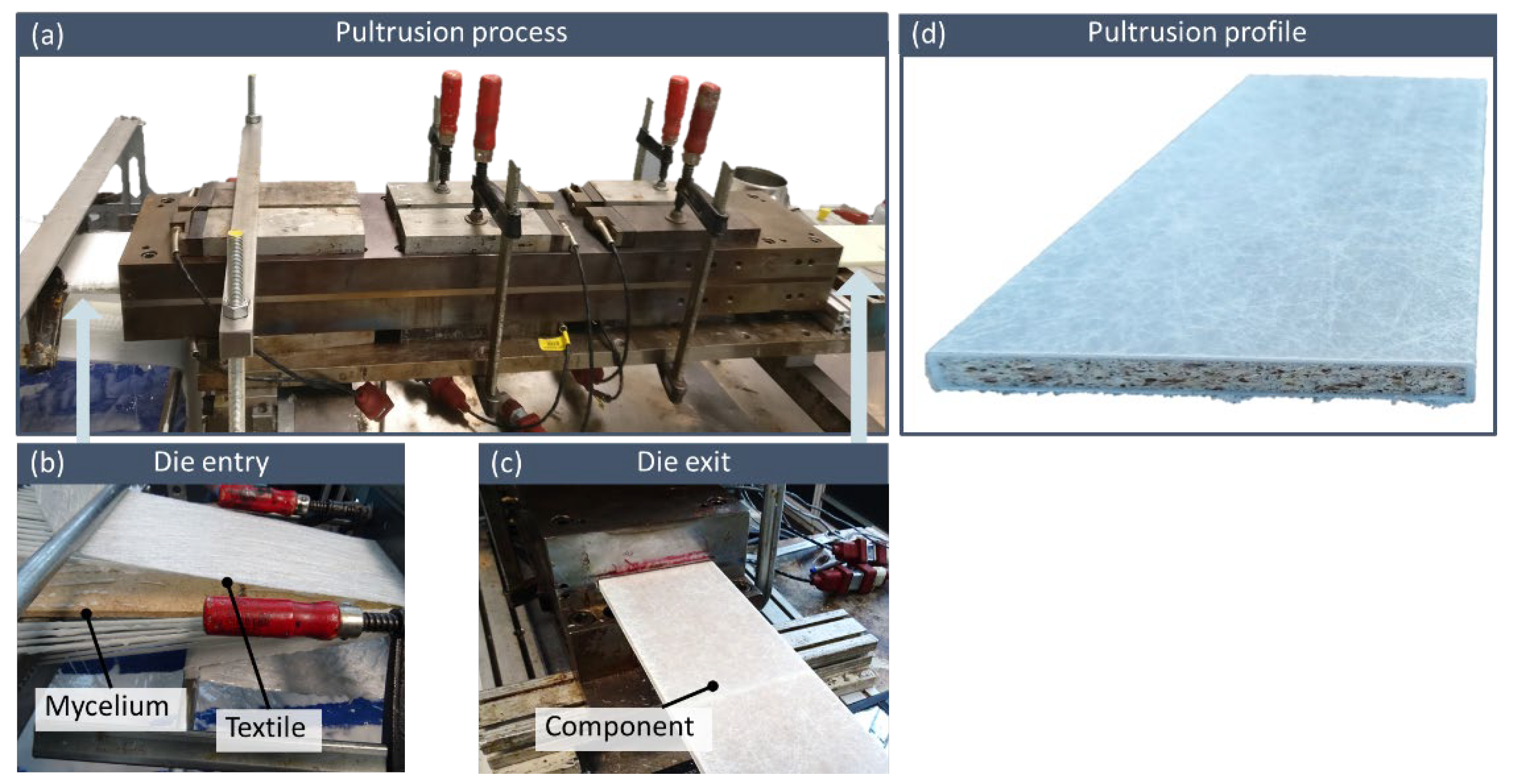Polymers 15 03205 g002