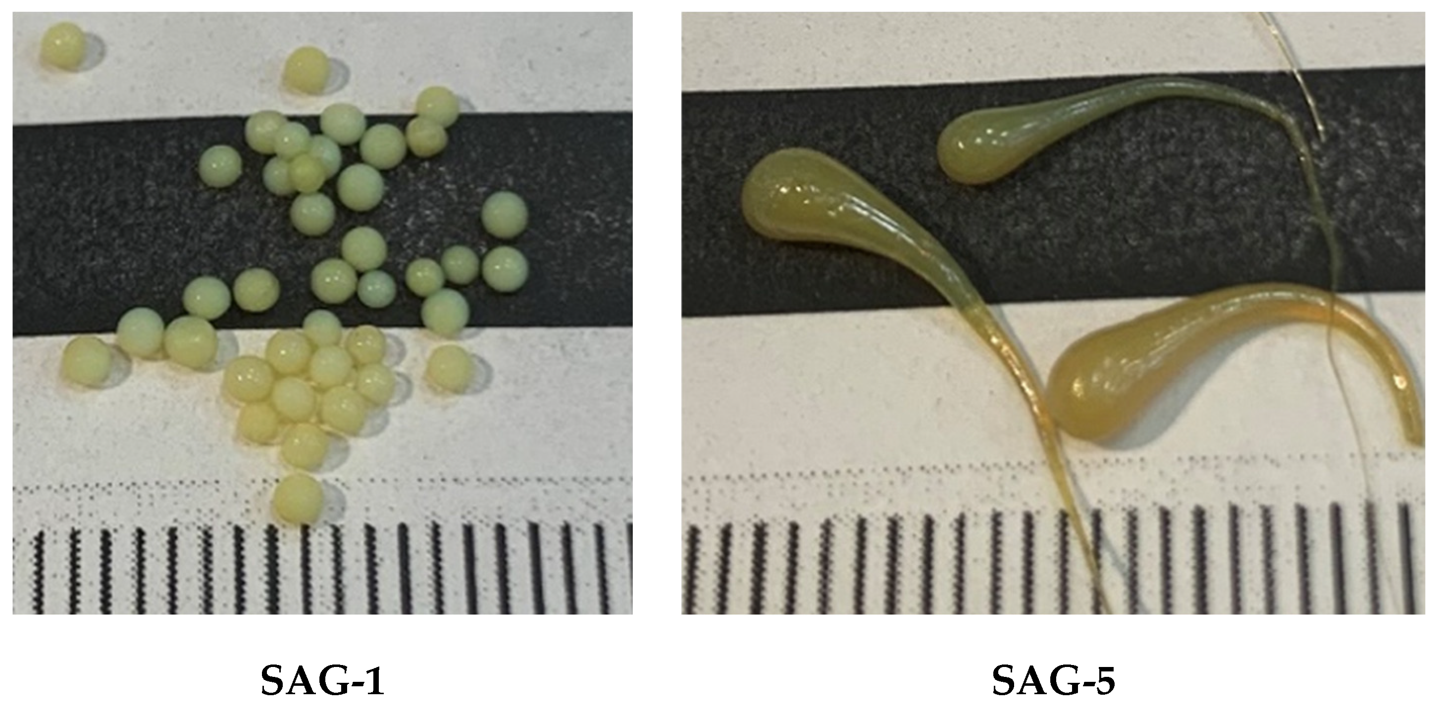 Polymers 15 03206 g003