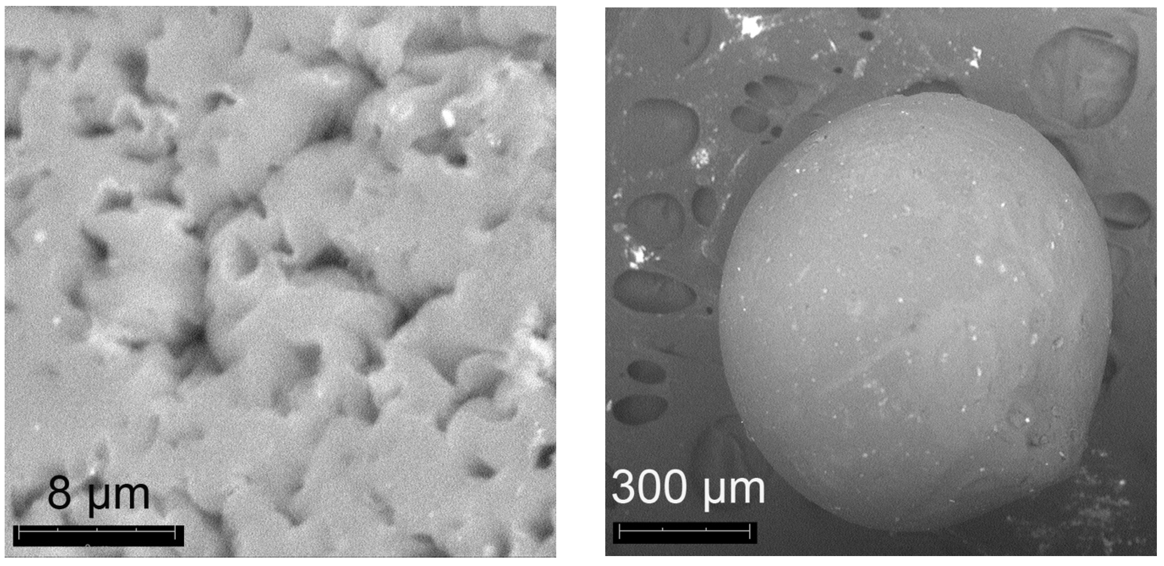 Polymers 15 03206 g004