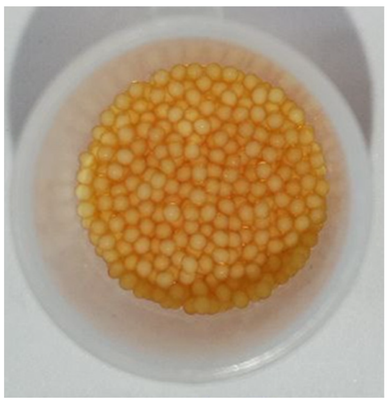 Polymers 15 03206 g007