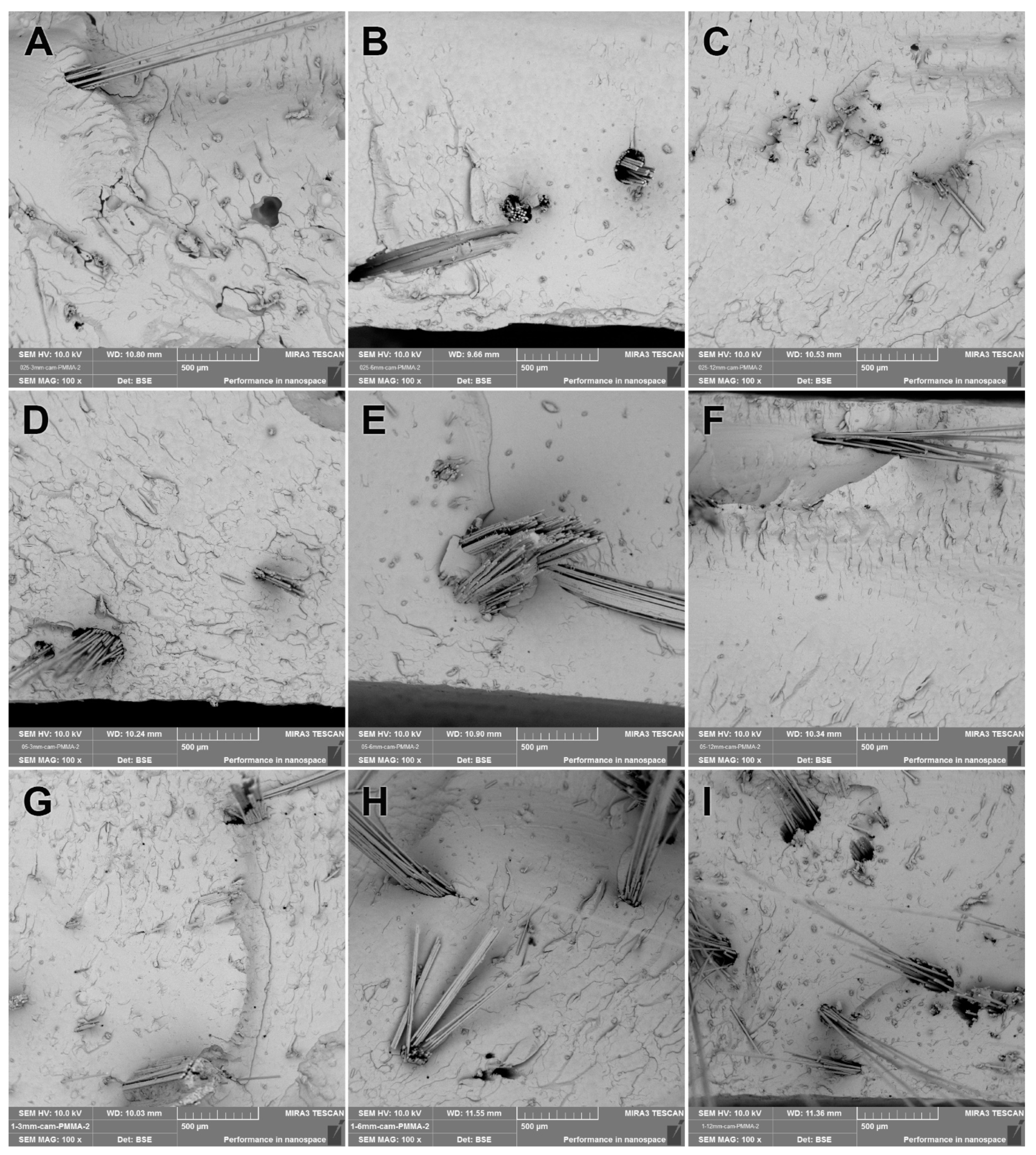 Polymers 15 03211 g004