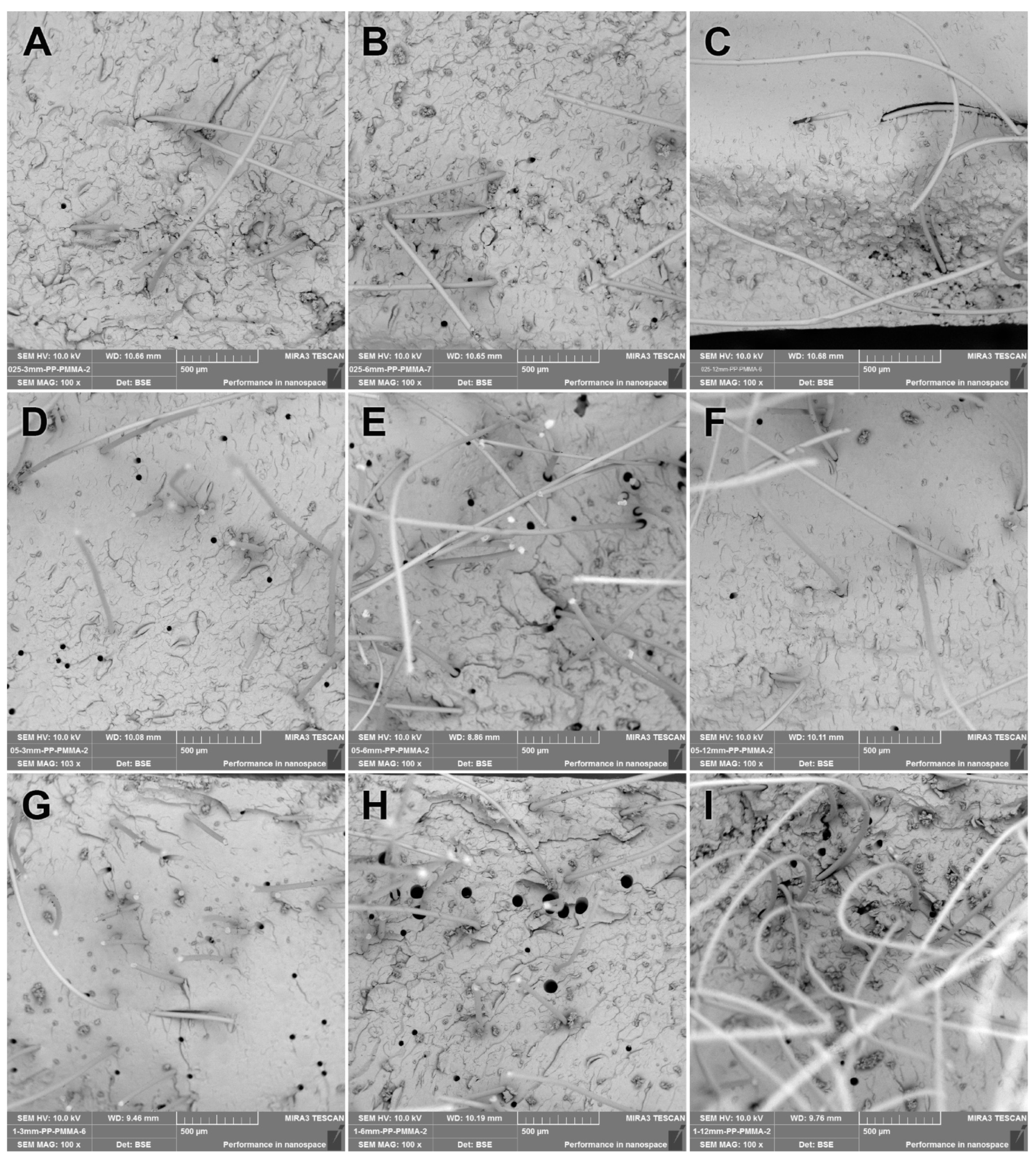 Polymers 15 03211 g005