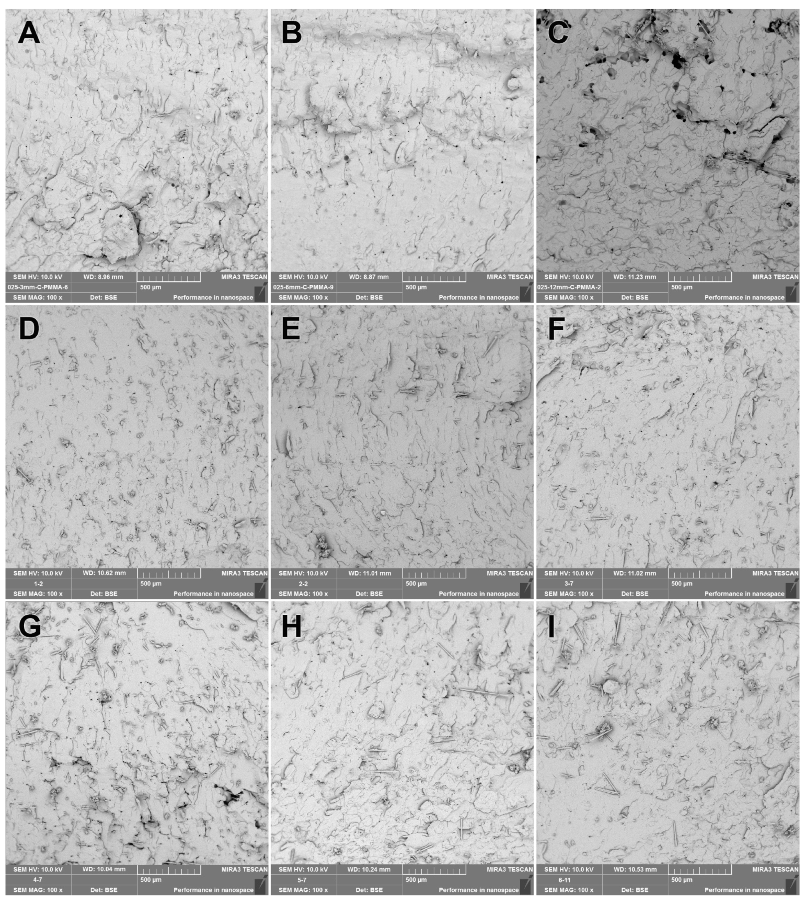Polymers 15 03211 g006