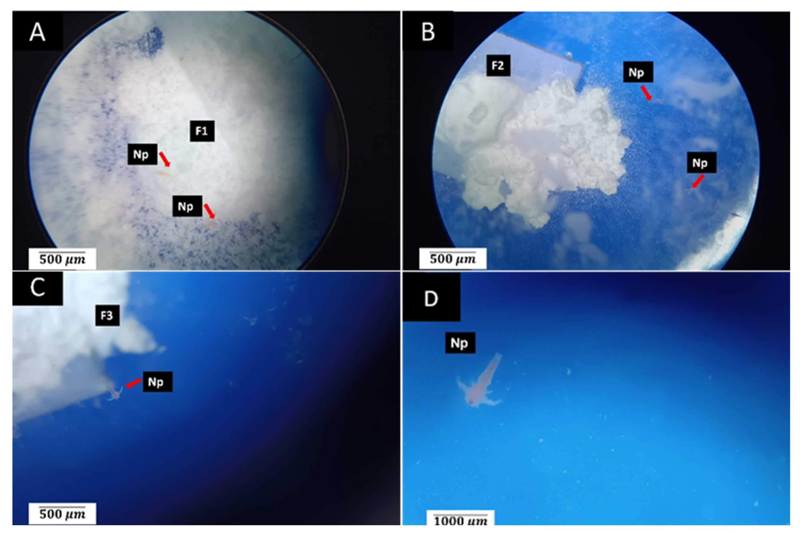 Polymers 15 03213 g004 Polymers 15 03213 g004