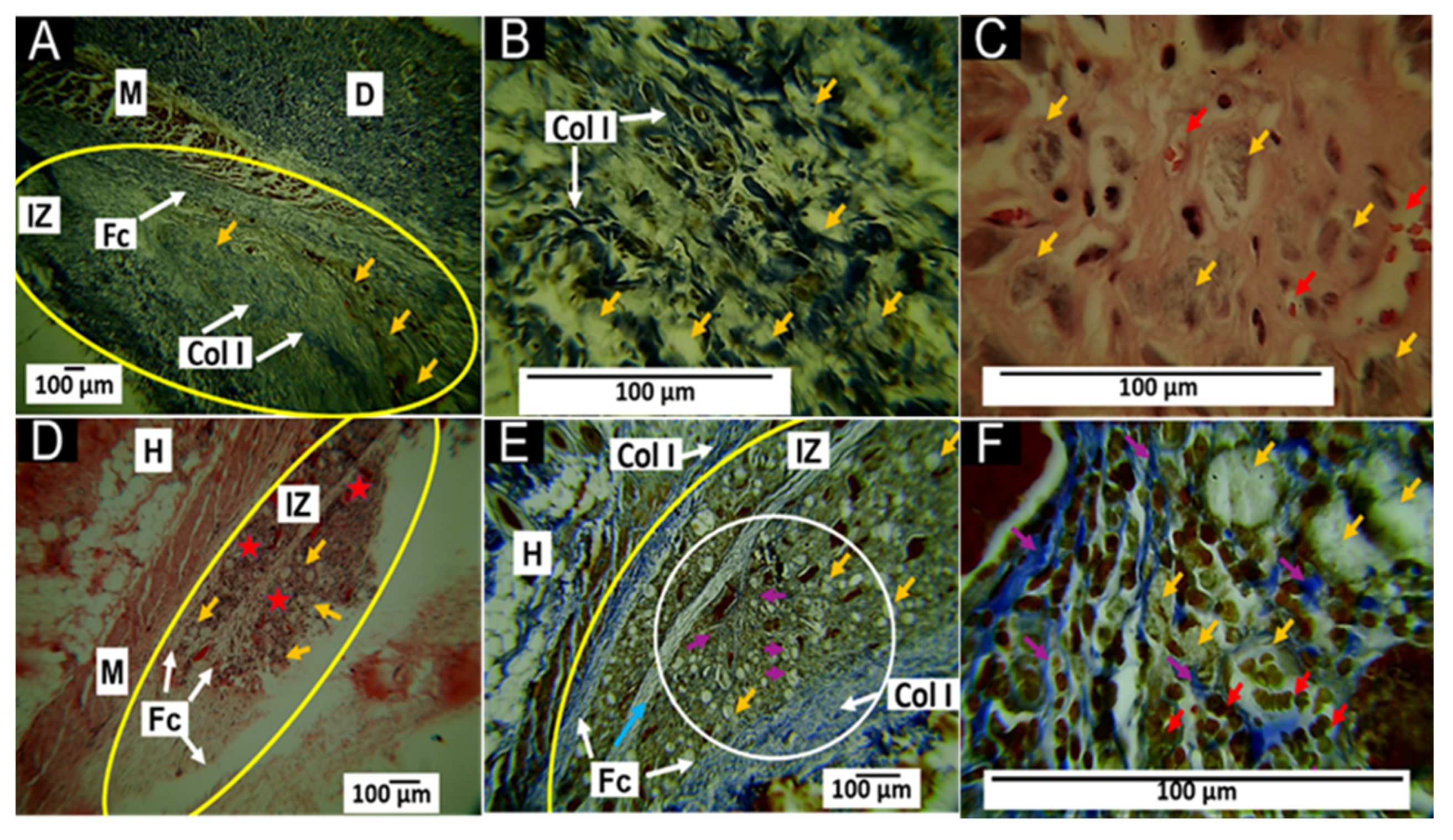 Polymers 15 03213 g007 Polymers 15 03213 g007