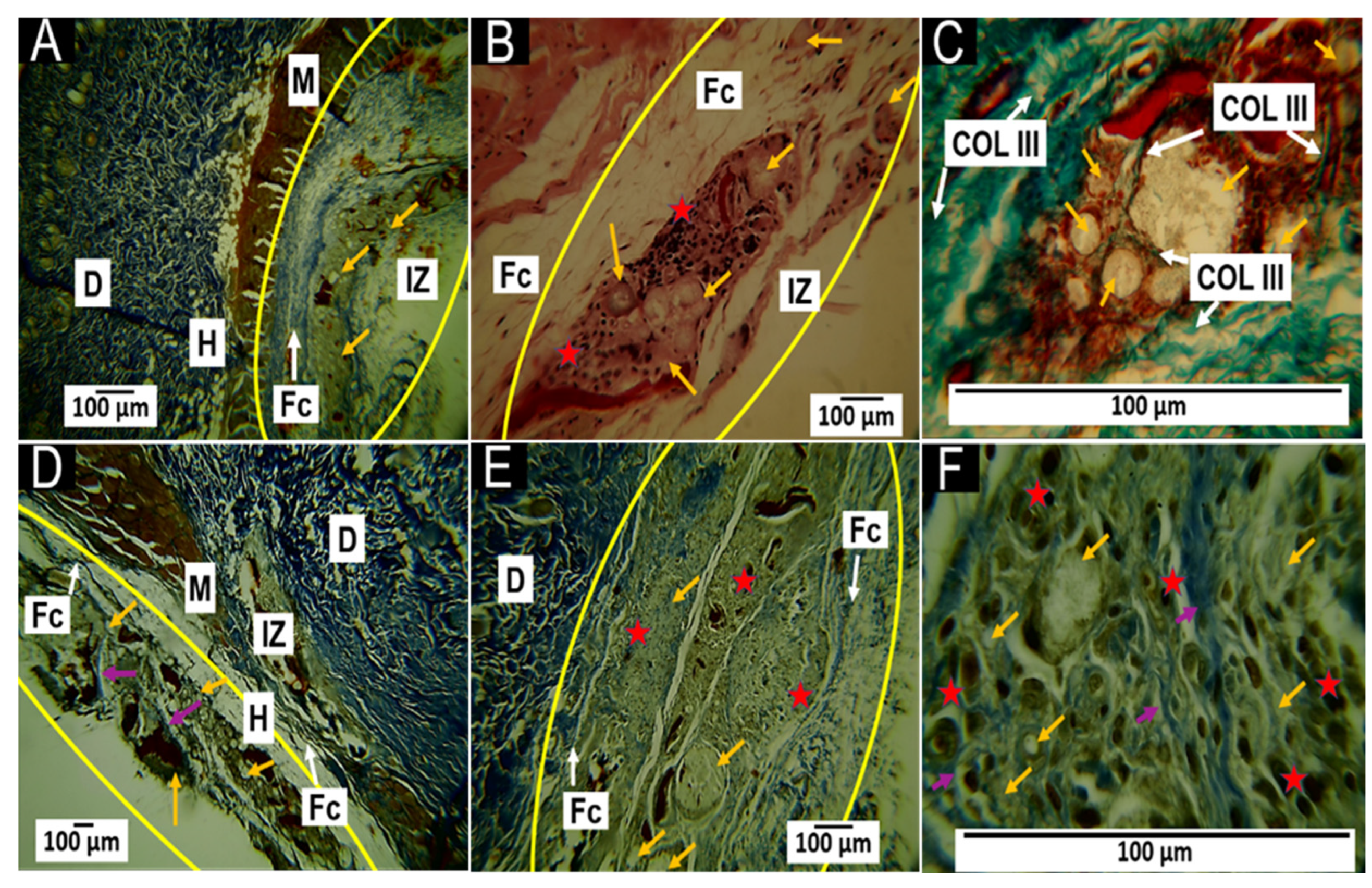 Polymers 15 03213 g008 Polymers 15 03213 g008