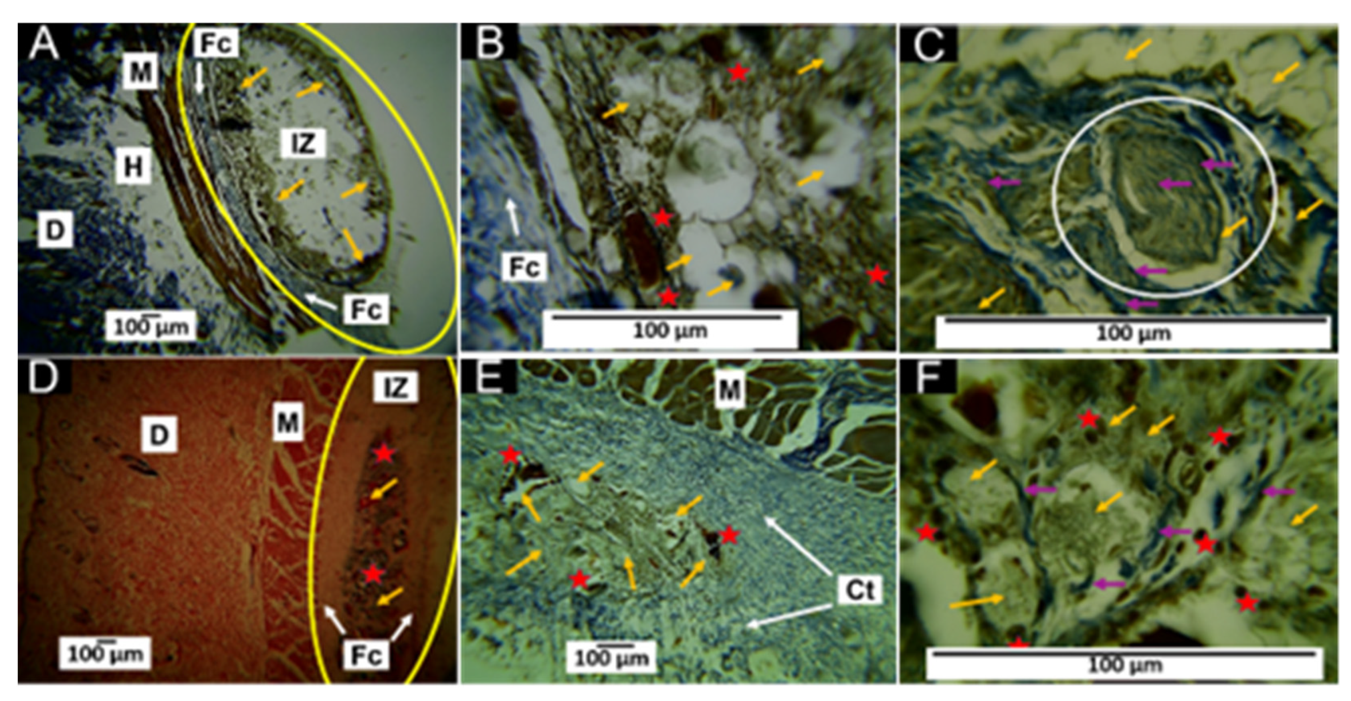 Polymers 15 03213 g009 Polymers 15 03213 g009