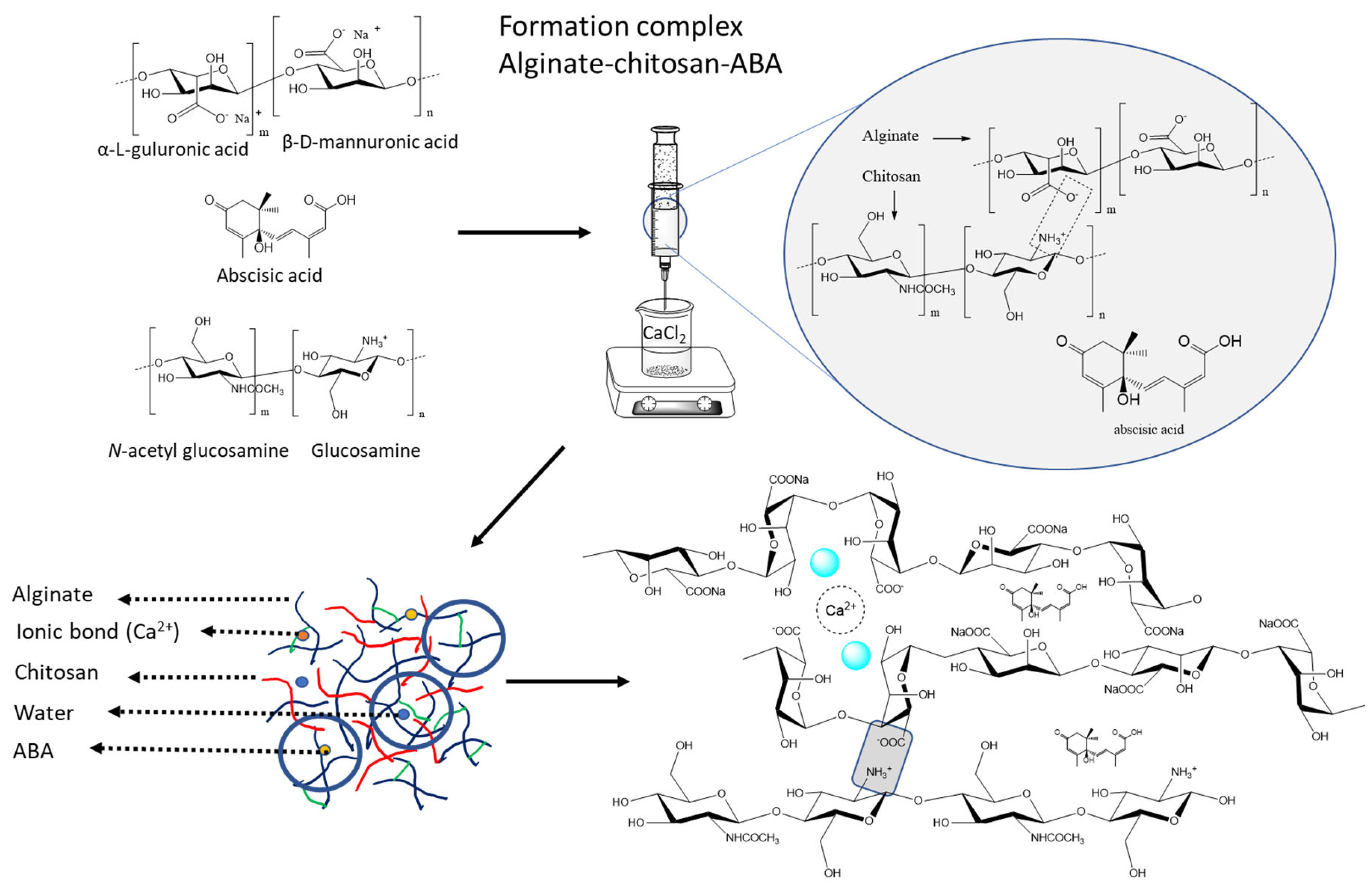 Polymers 15 03217 g001