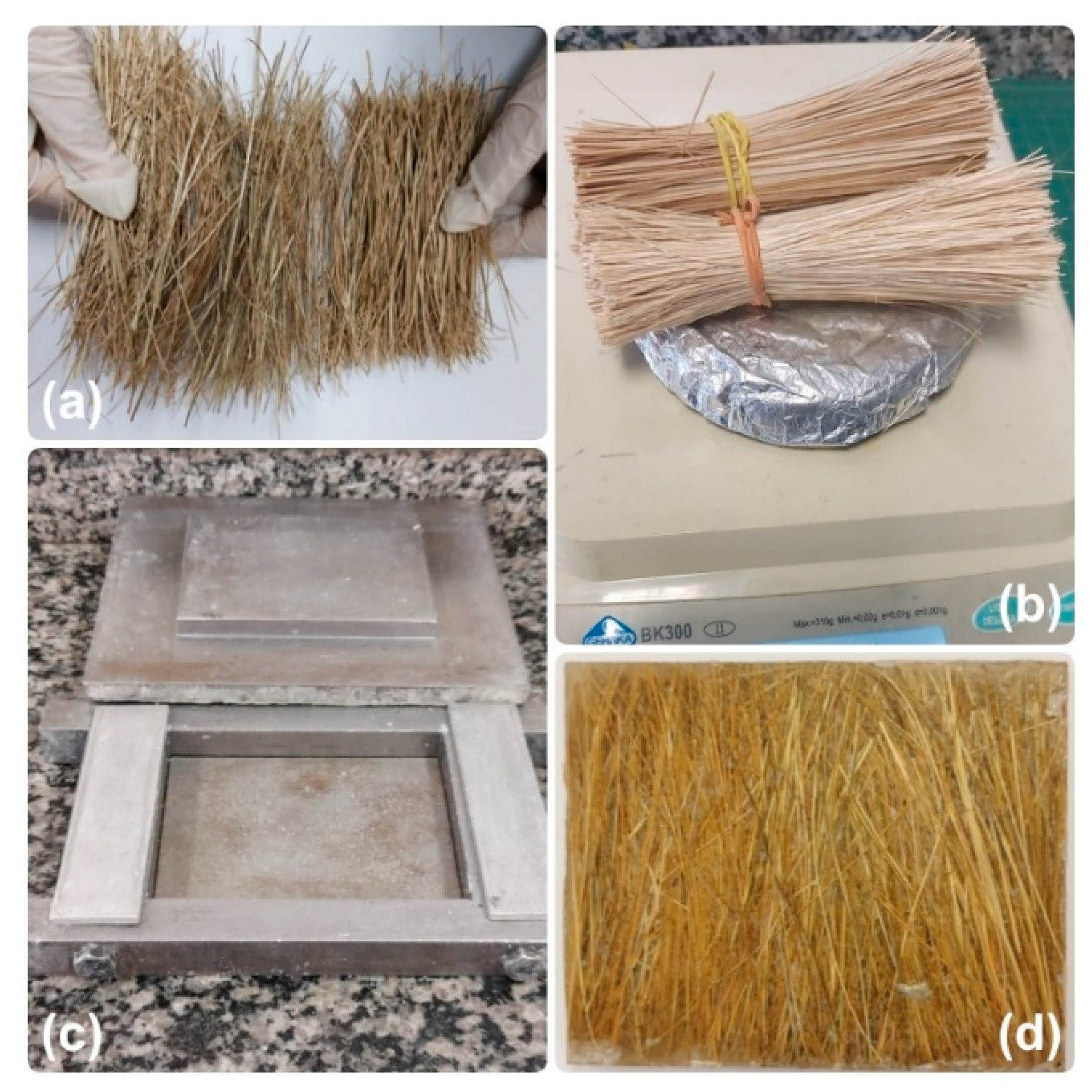 Polymers 15 03220 g002 Polymers 15 03220 g002