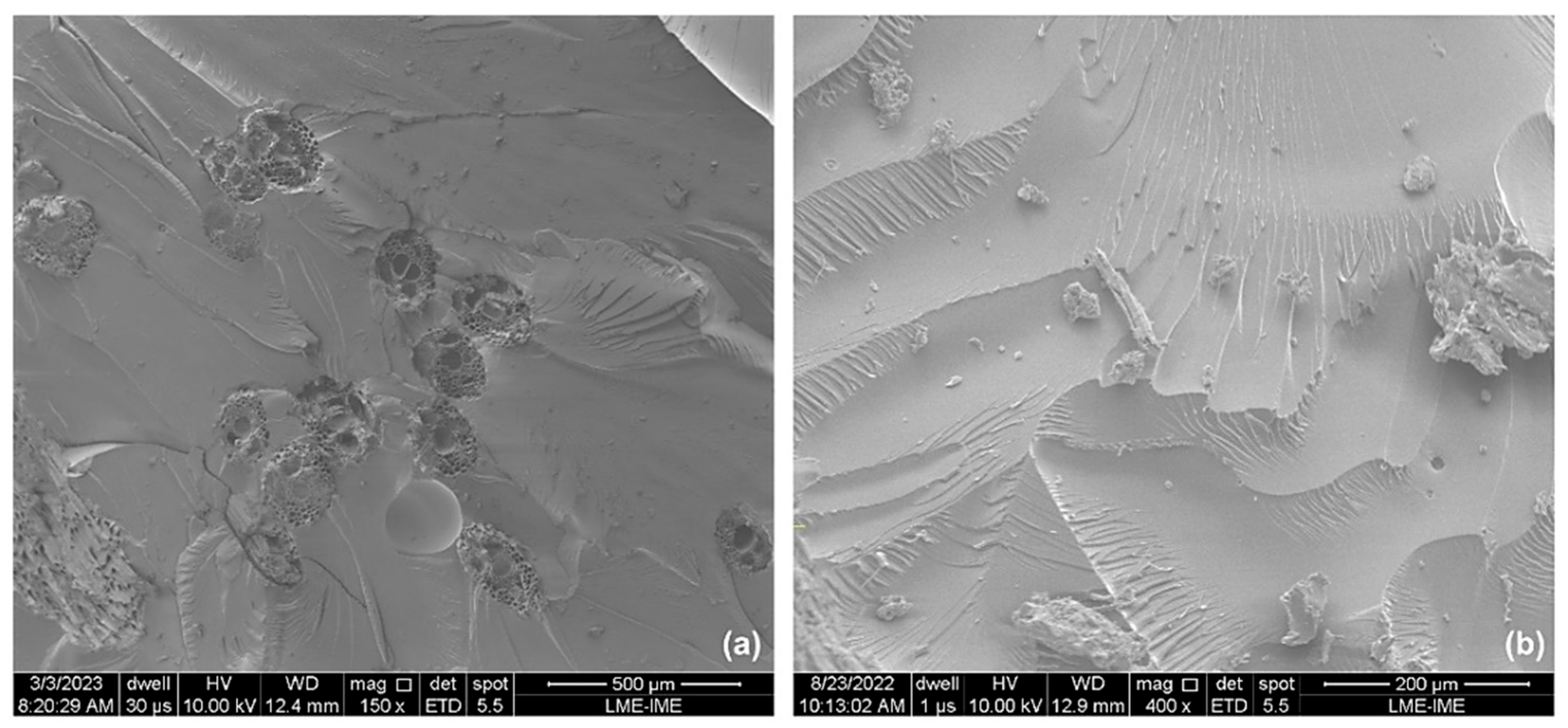 Polymers 15 03220 g012 Polymers 15 03220 g012