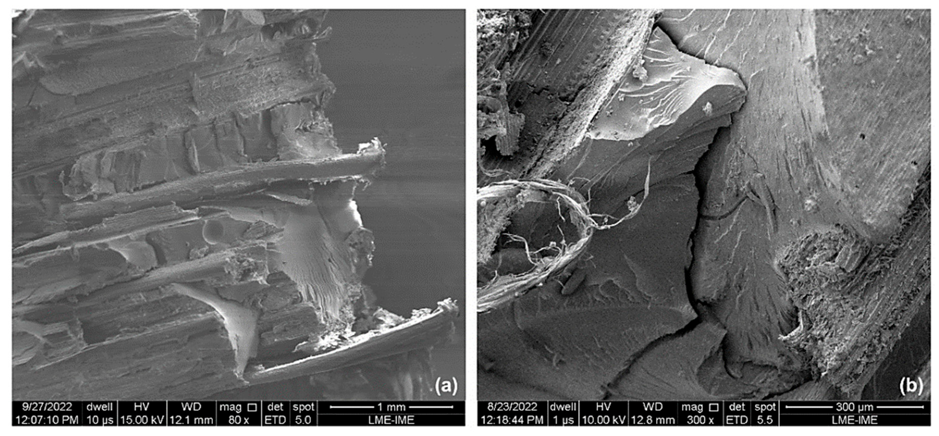 Polymers 15 03220 g013 Polymers 15 03220 g013