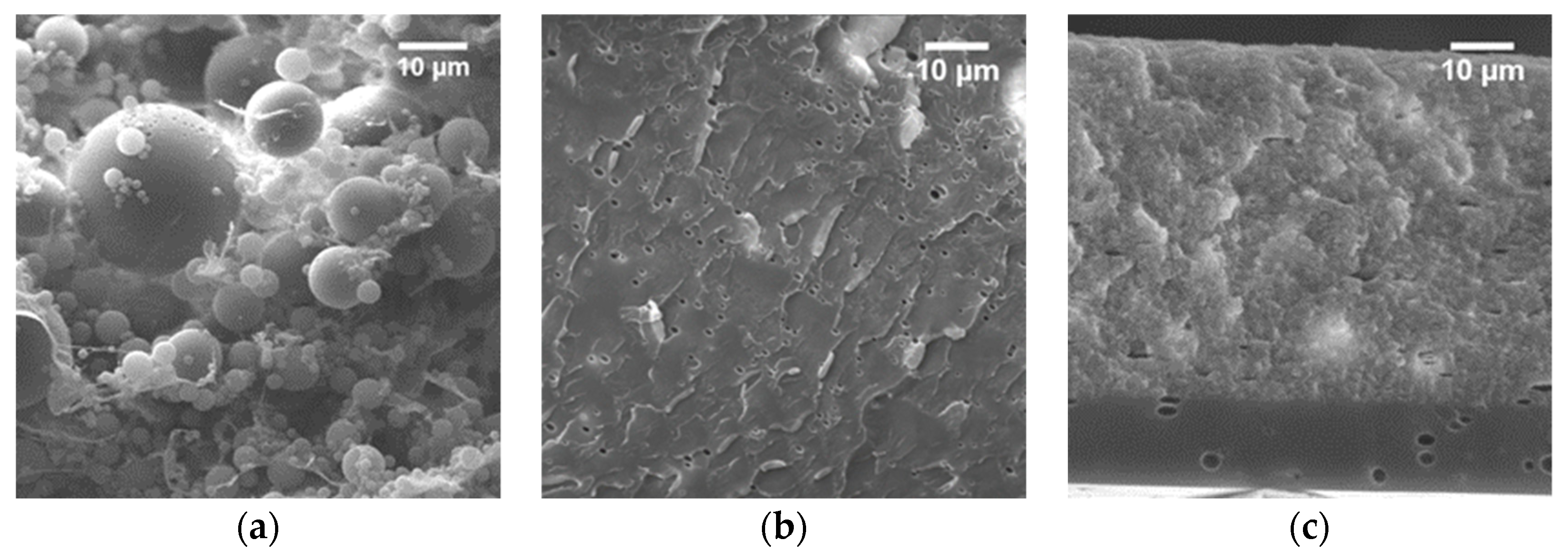Polymers 15 03226 g004