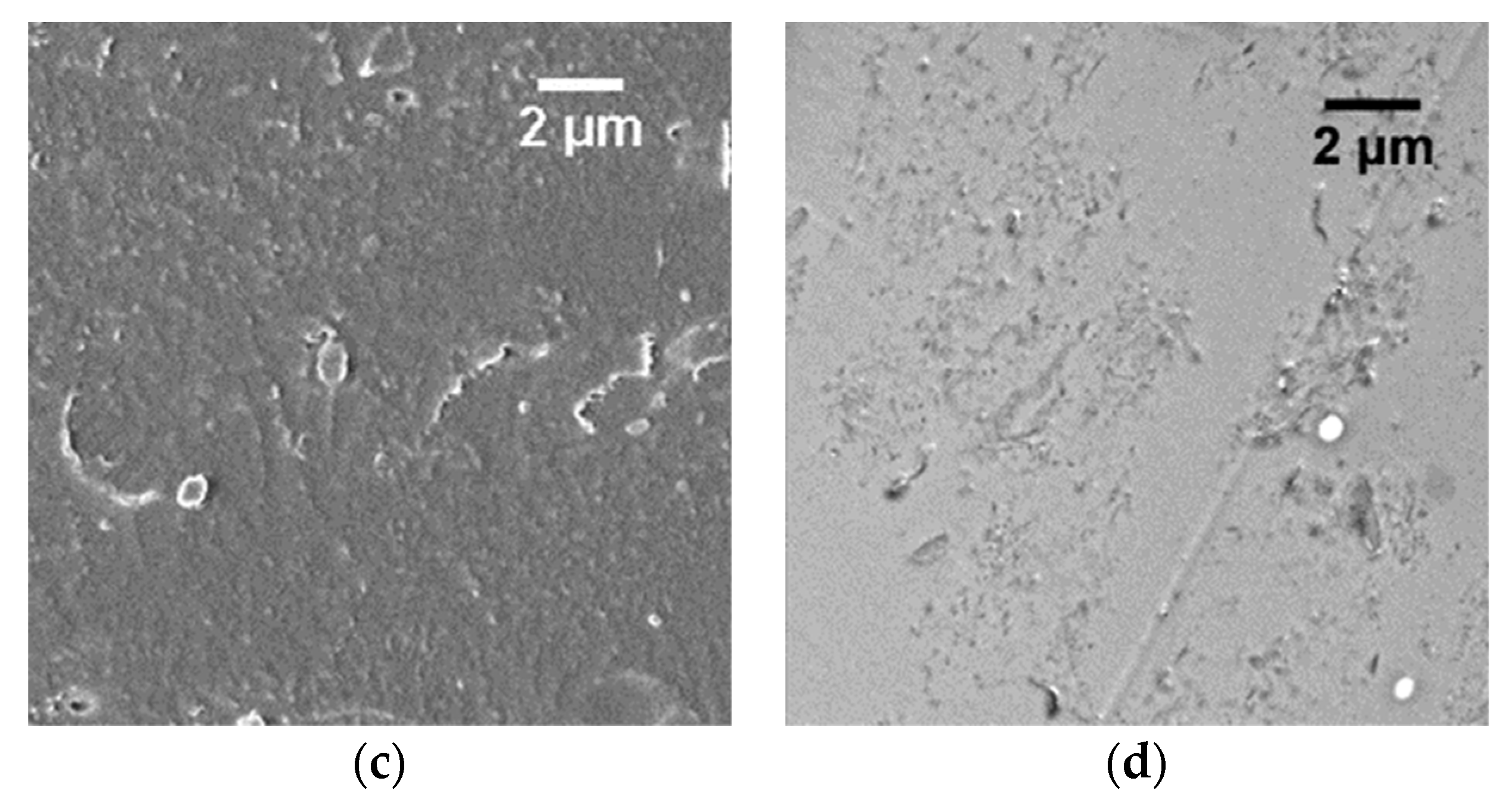 Polymers 15 03226 g006b