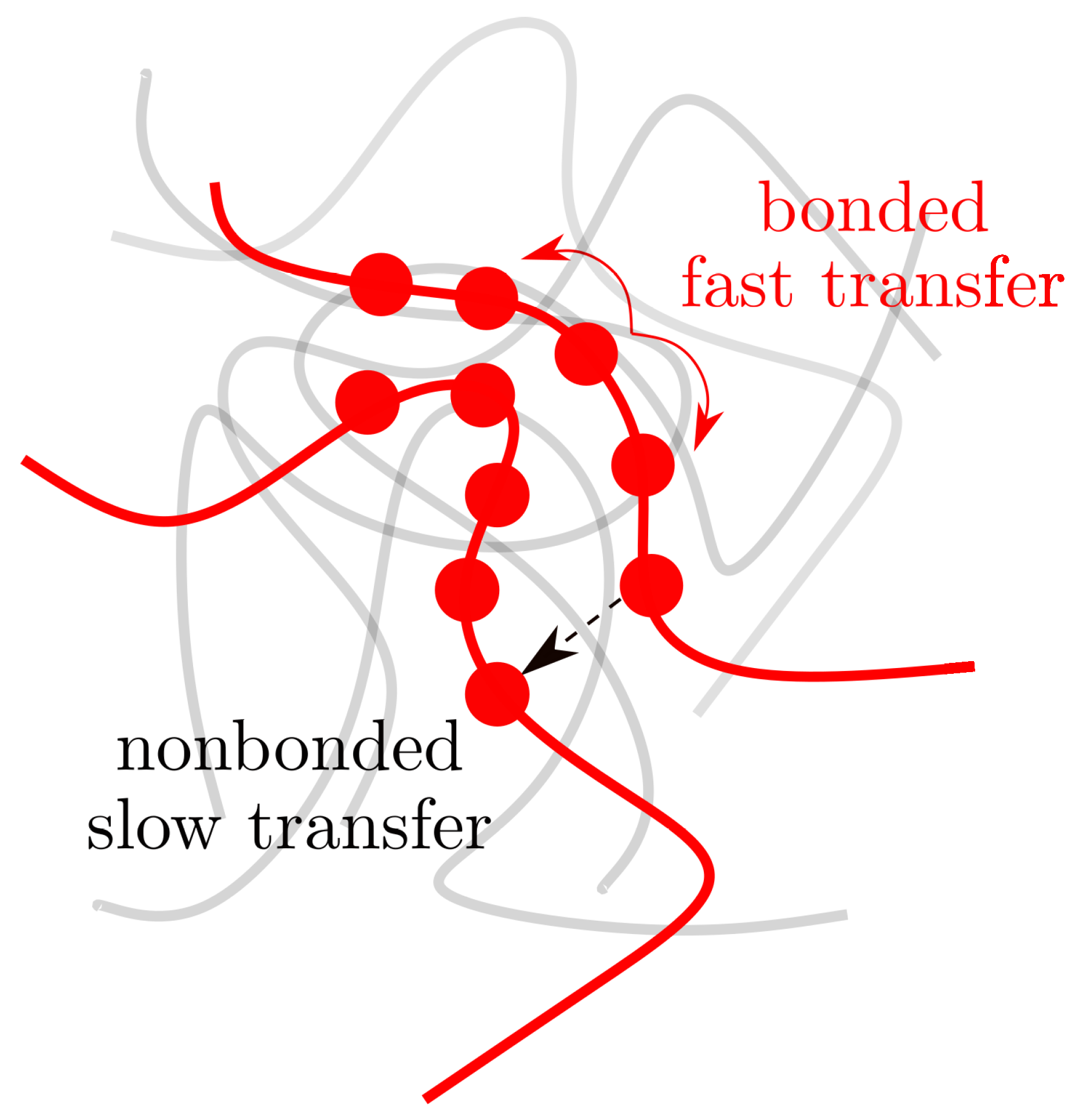 Polymers 15 03229 g014