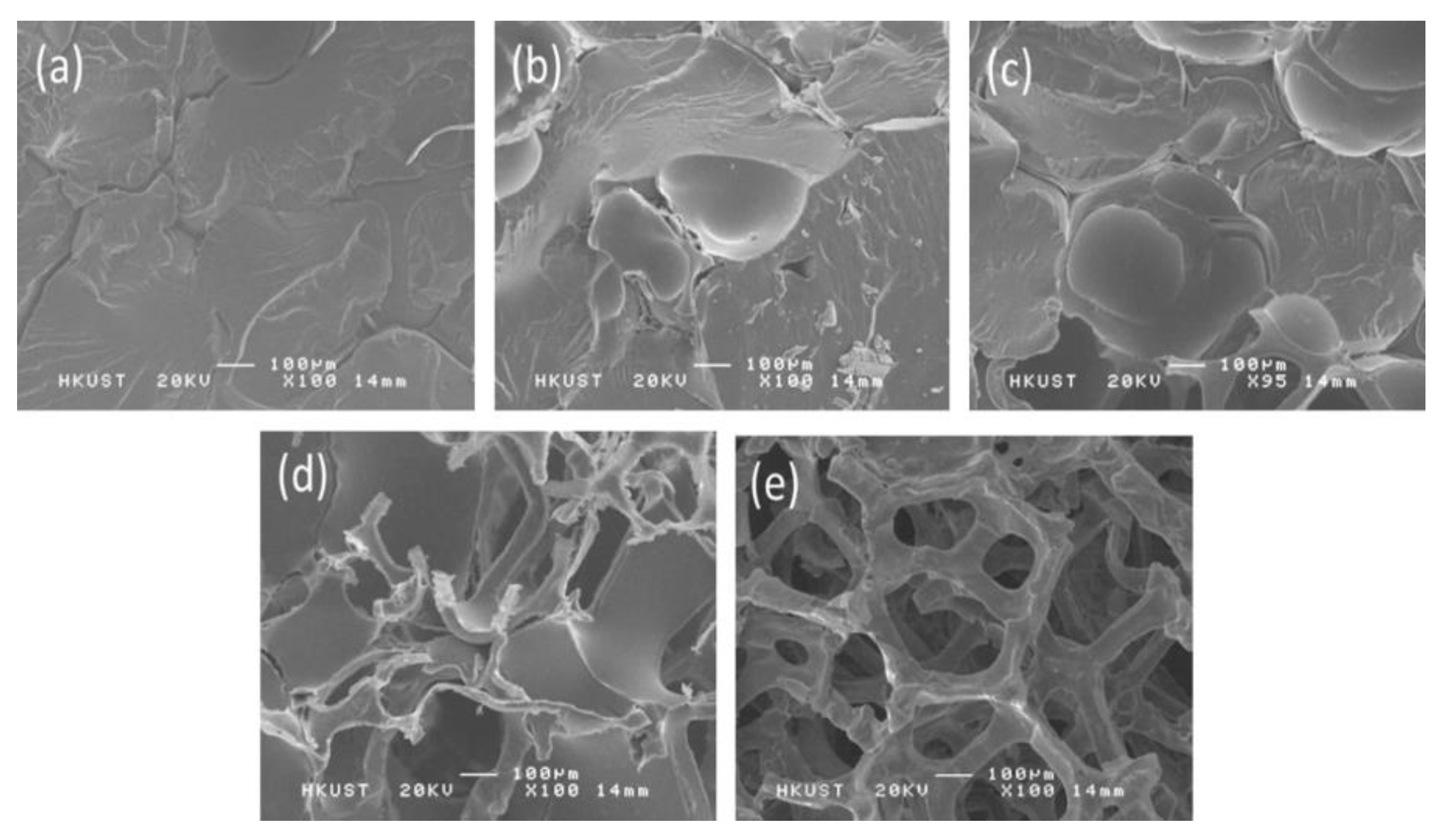 Polymers 15 03235 g005 Polymers 15 03235 g005