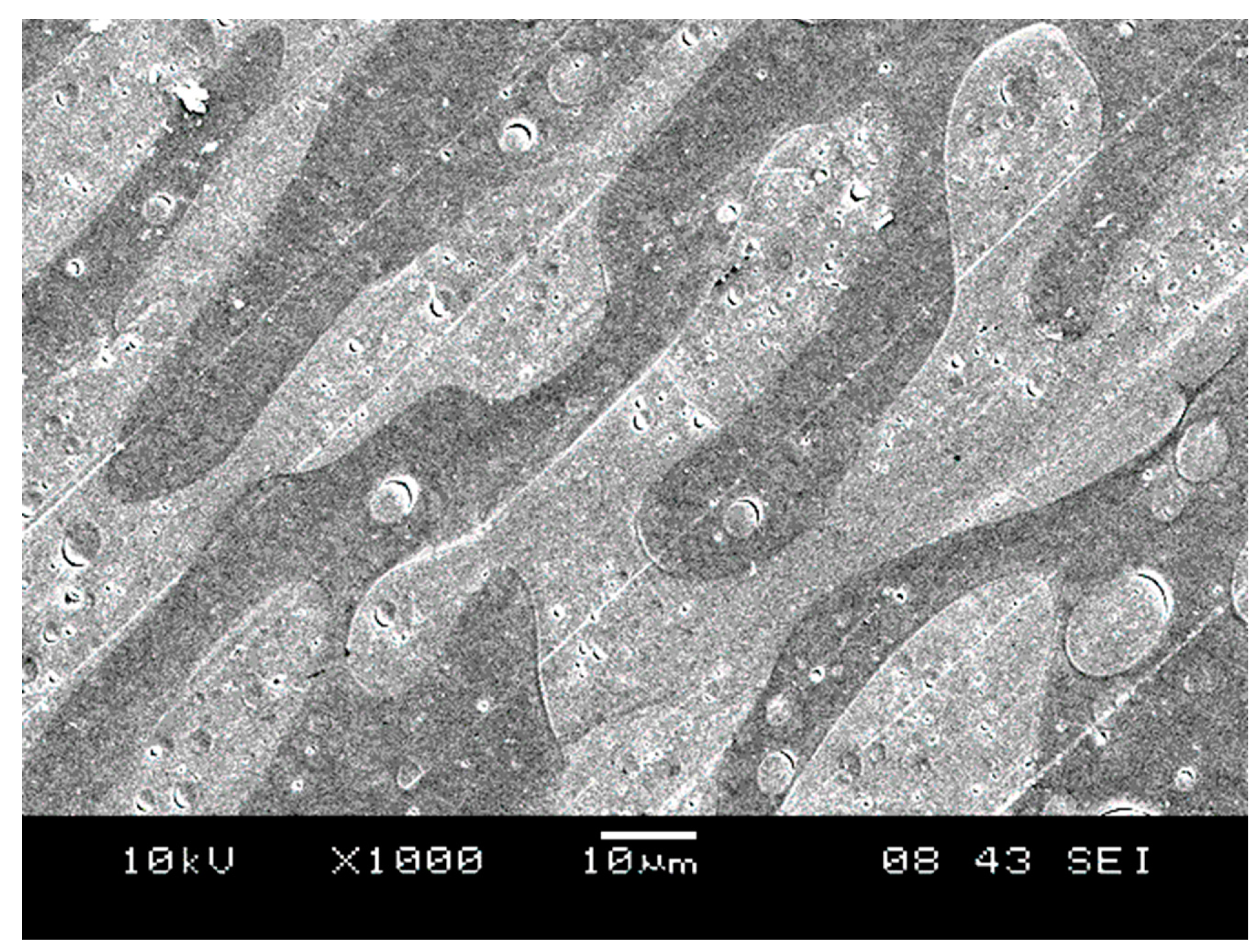 Polymers 15 03237 g006 Polymers 15 03237 g006