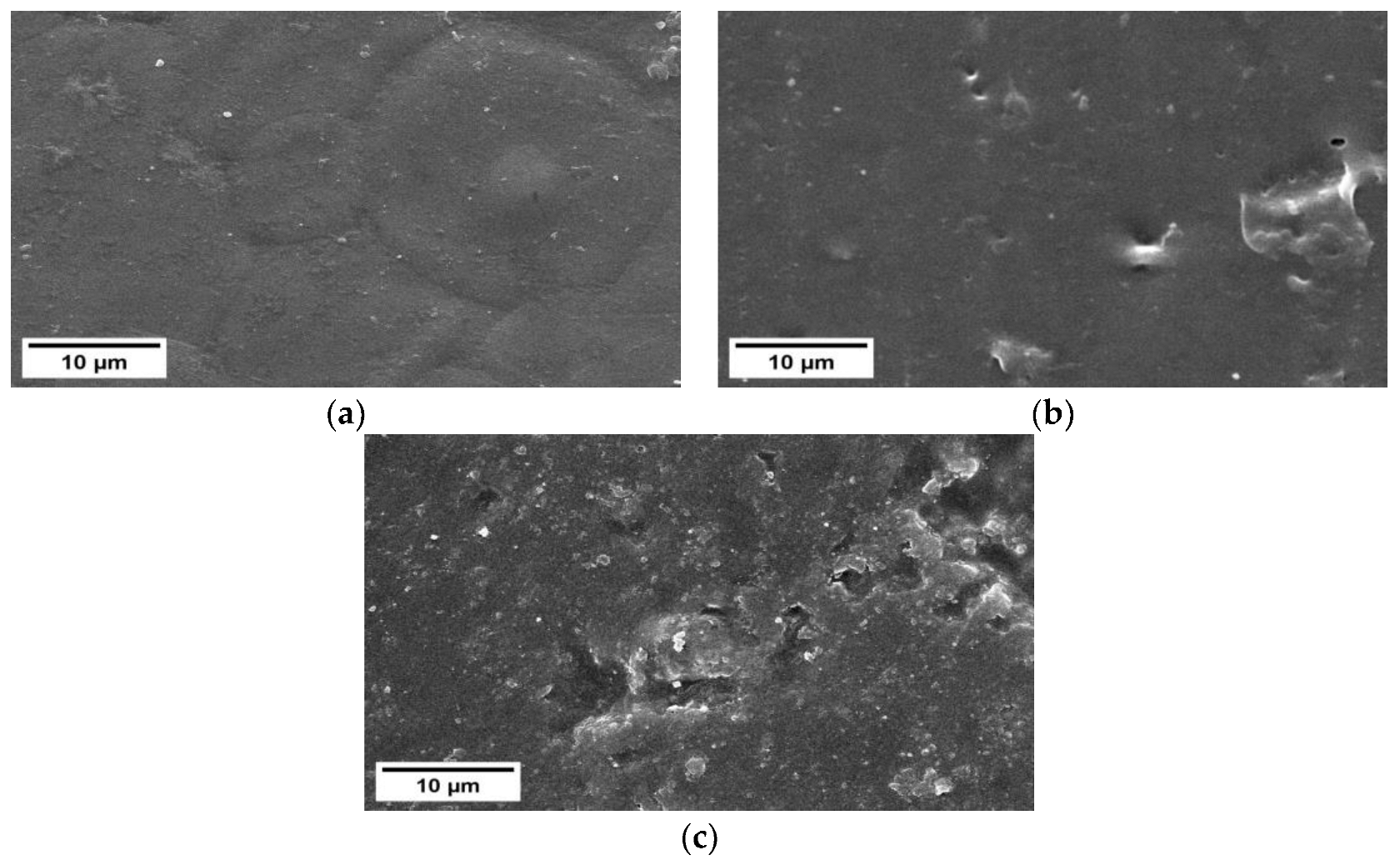 Polymers 15 03239 g002