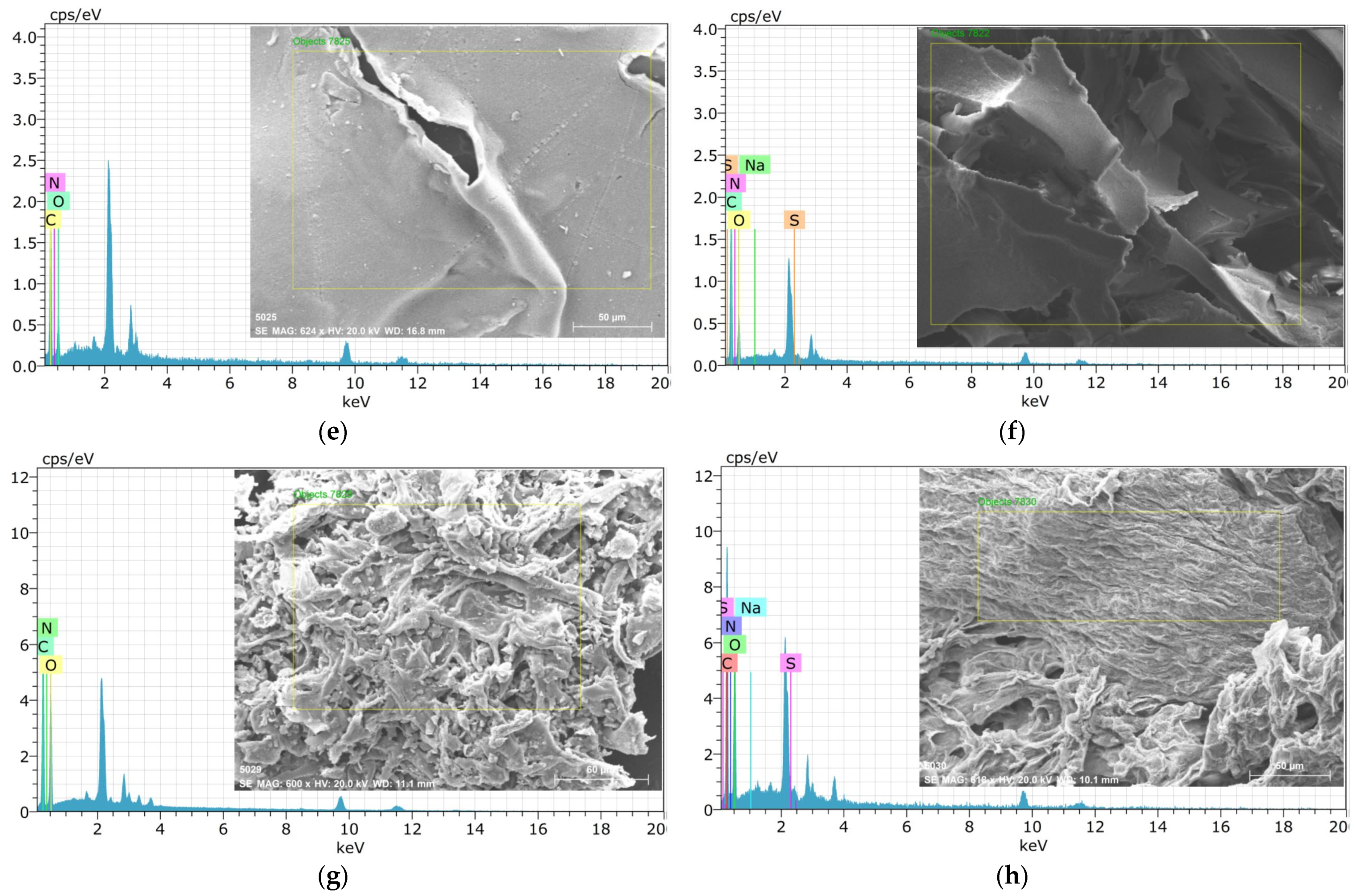 Polymers 15 03246 g003b Polymers 15 03246 g003b