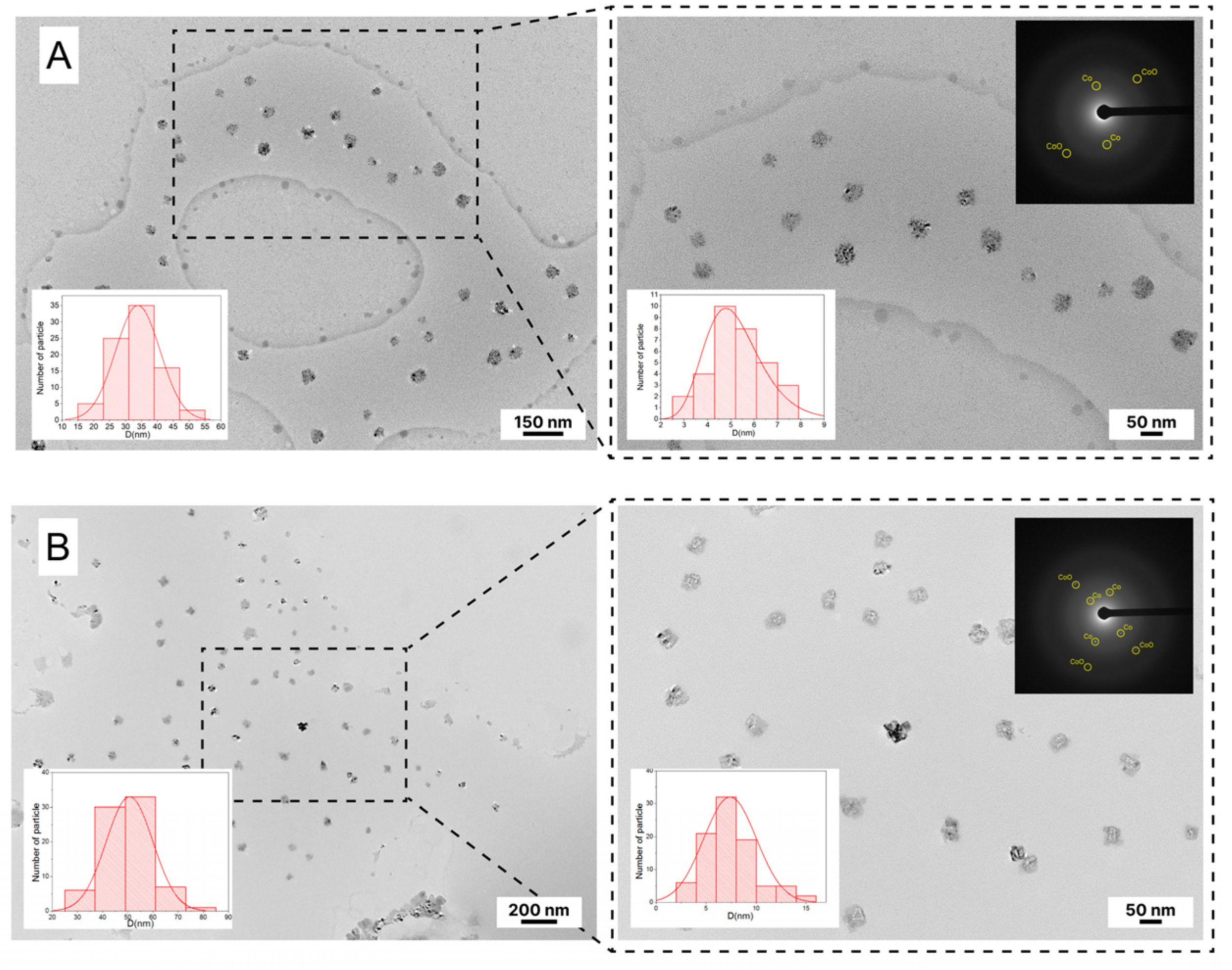 Polymers 15 03248 g008