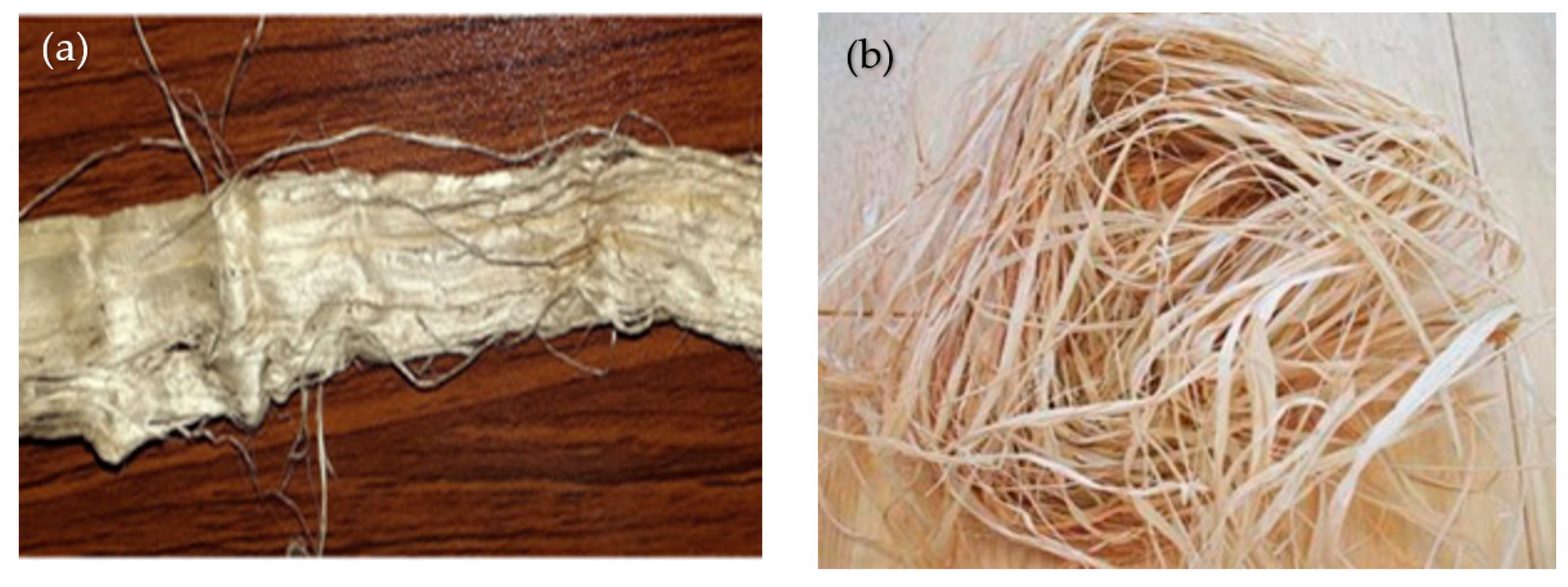 Raffia fiber 2025