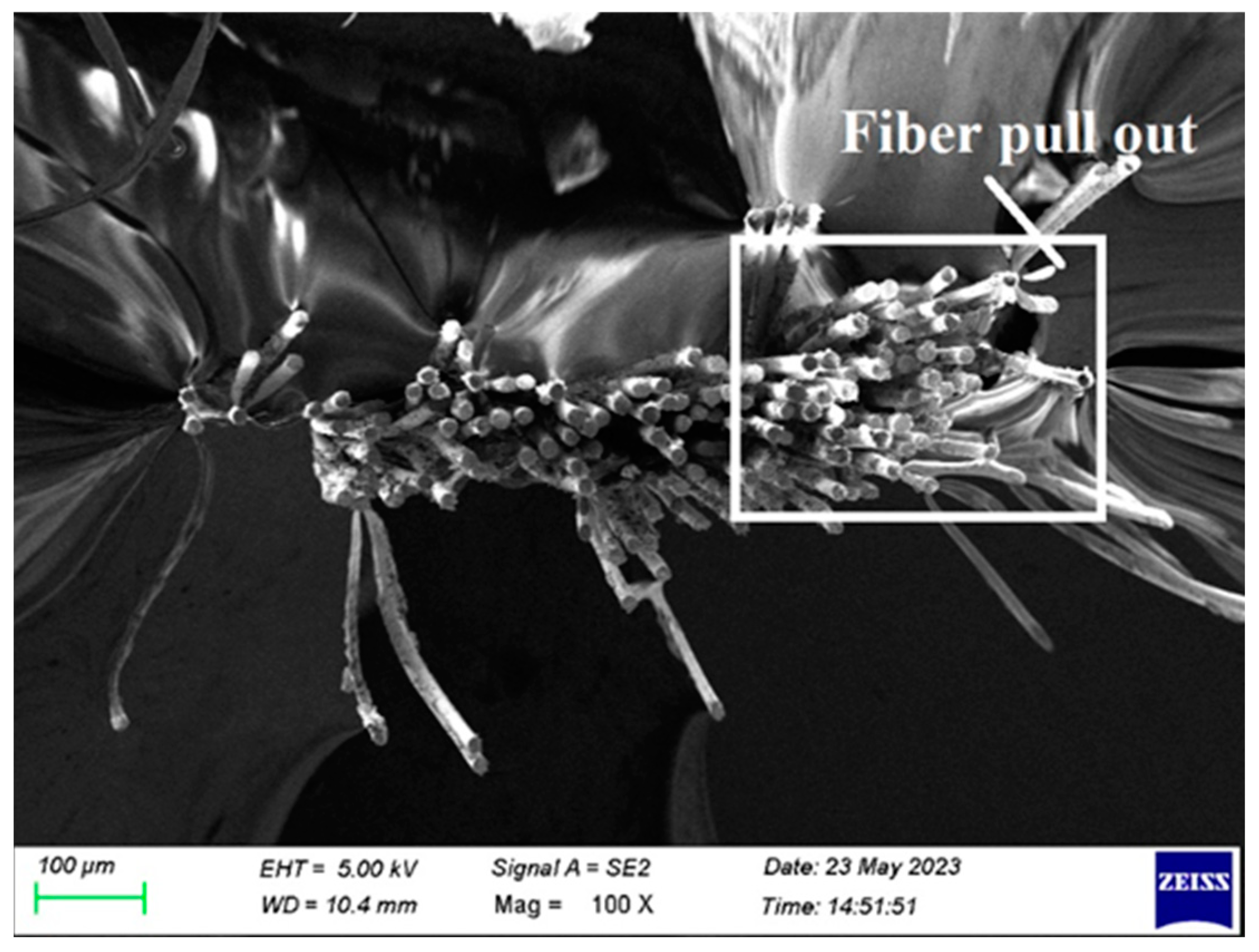 Polymers 15 03249 g009