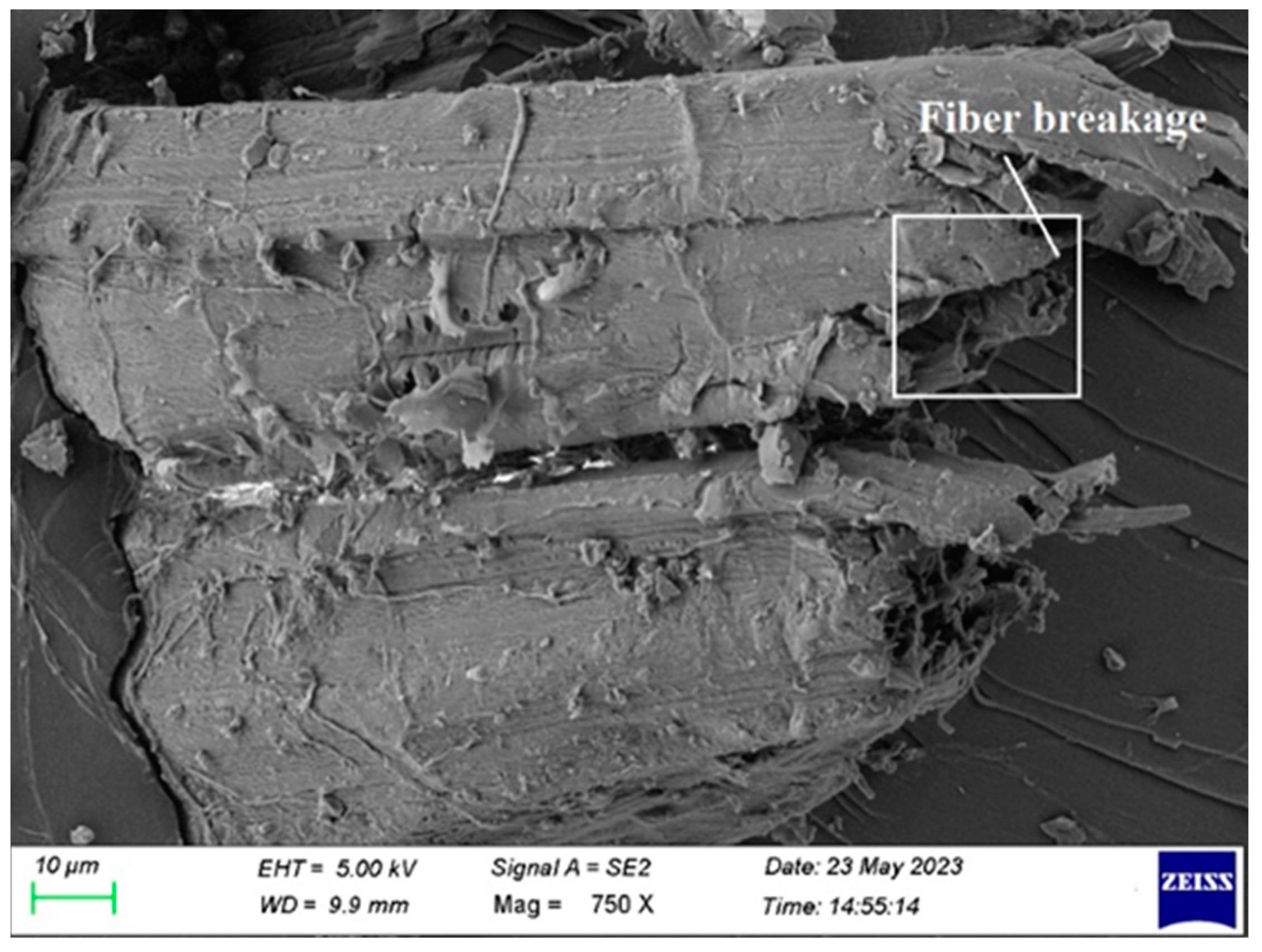 Polymers 15 03249 g010
