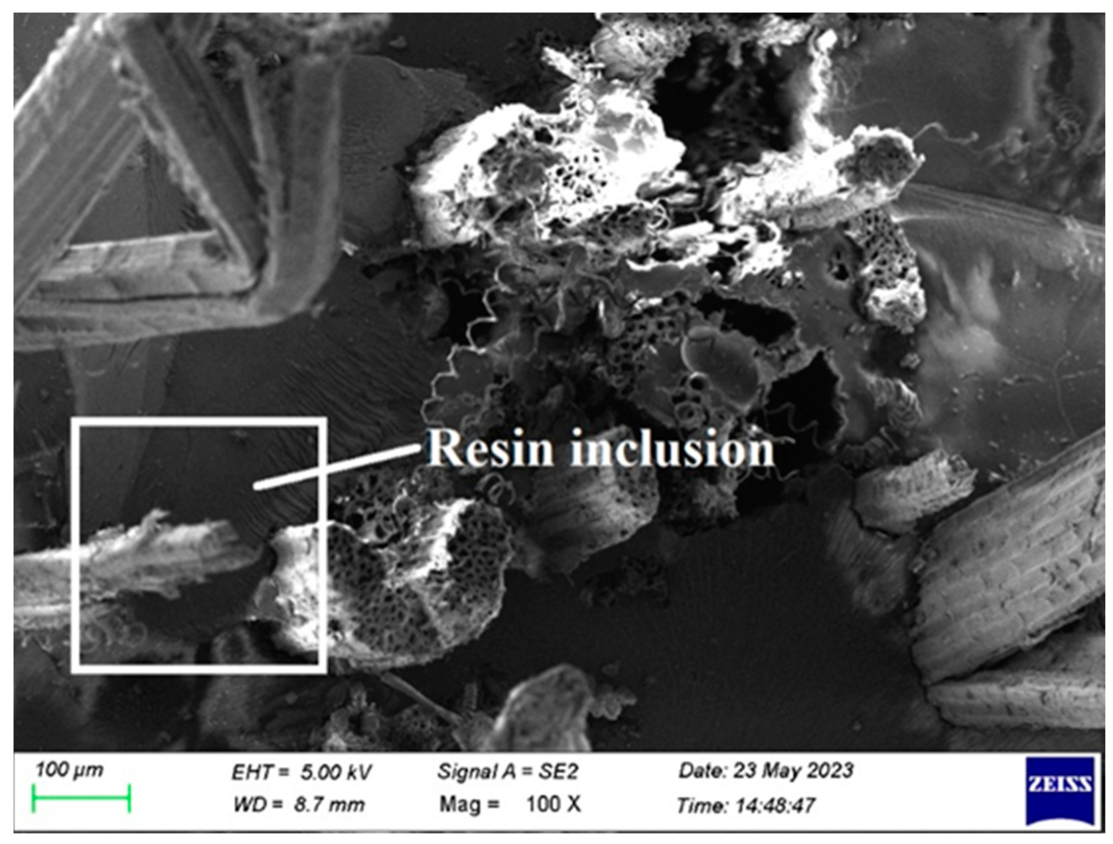 Polymers 15 03249 g012