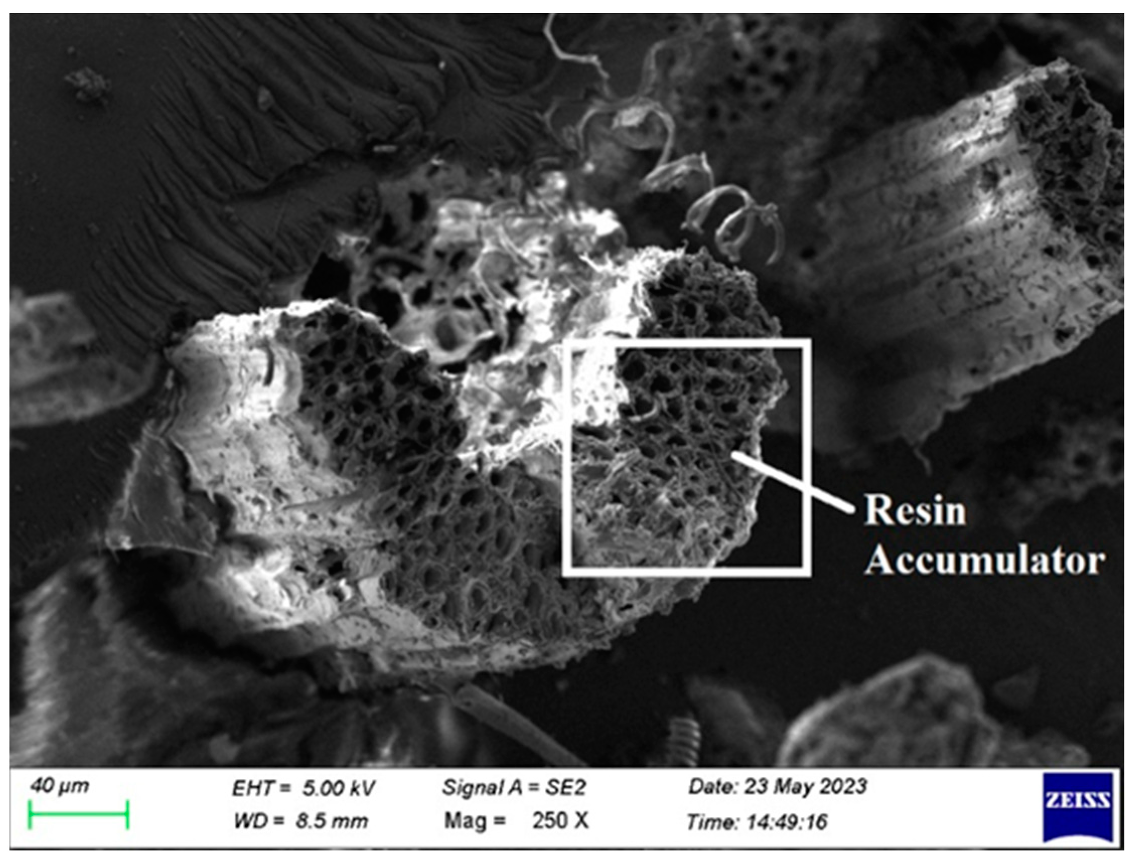 Polymers 15 03249 g013